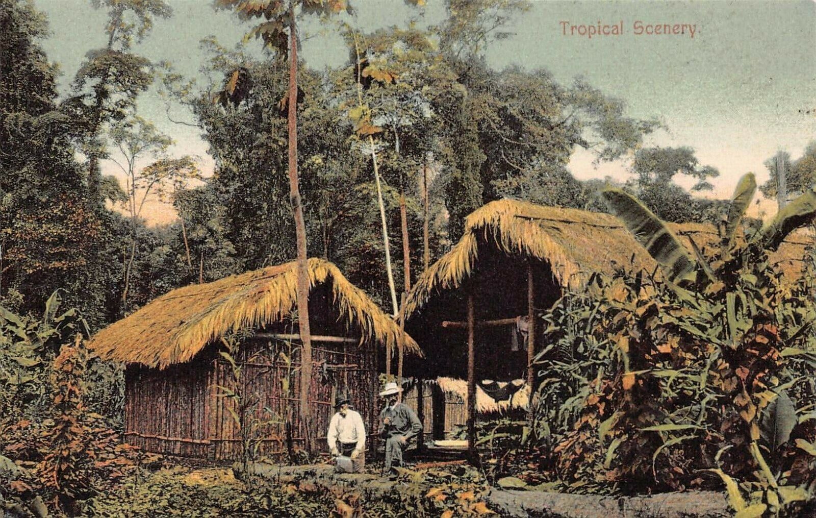 Native Houses and Tropical Scenery, Panama, Early Postcard, Unused 