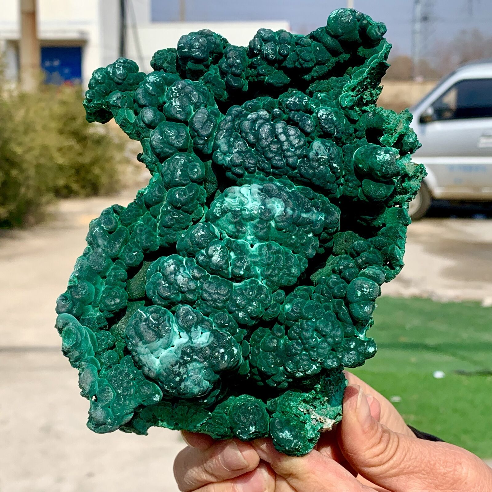 2.74LB Natural glossy Malachite cat eyetransparent cluster rough mineral sample