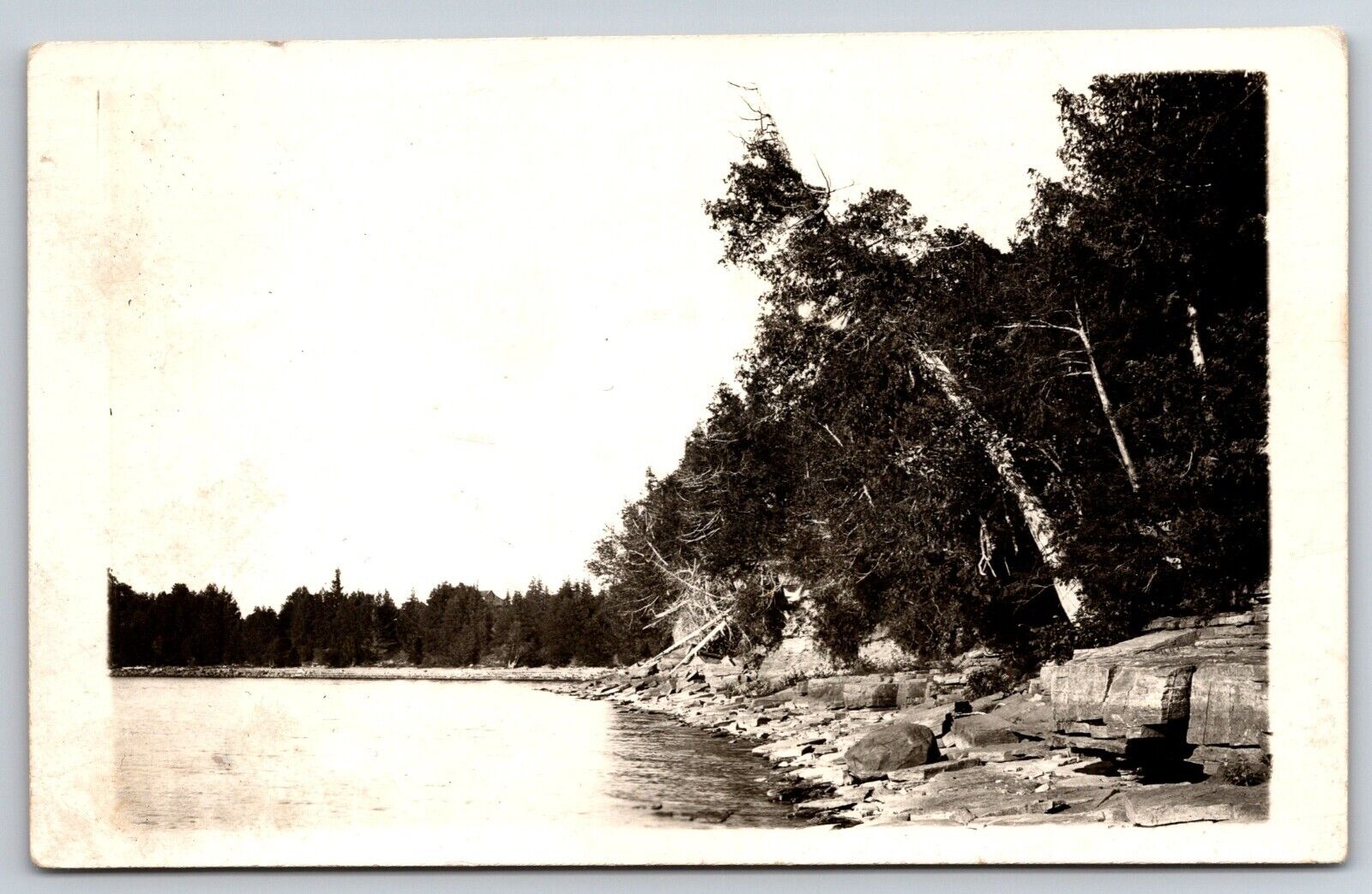 Lake - Fallen Trees - Chester, VT - Vermont - RPPC - Real Photo Postcard - 1942