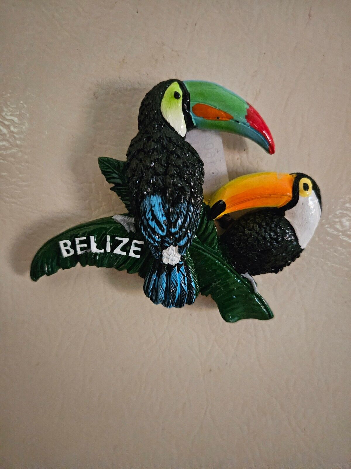 Belizean toucan  fridge magnets