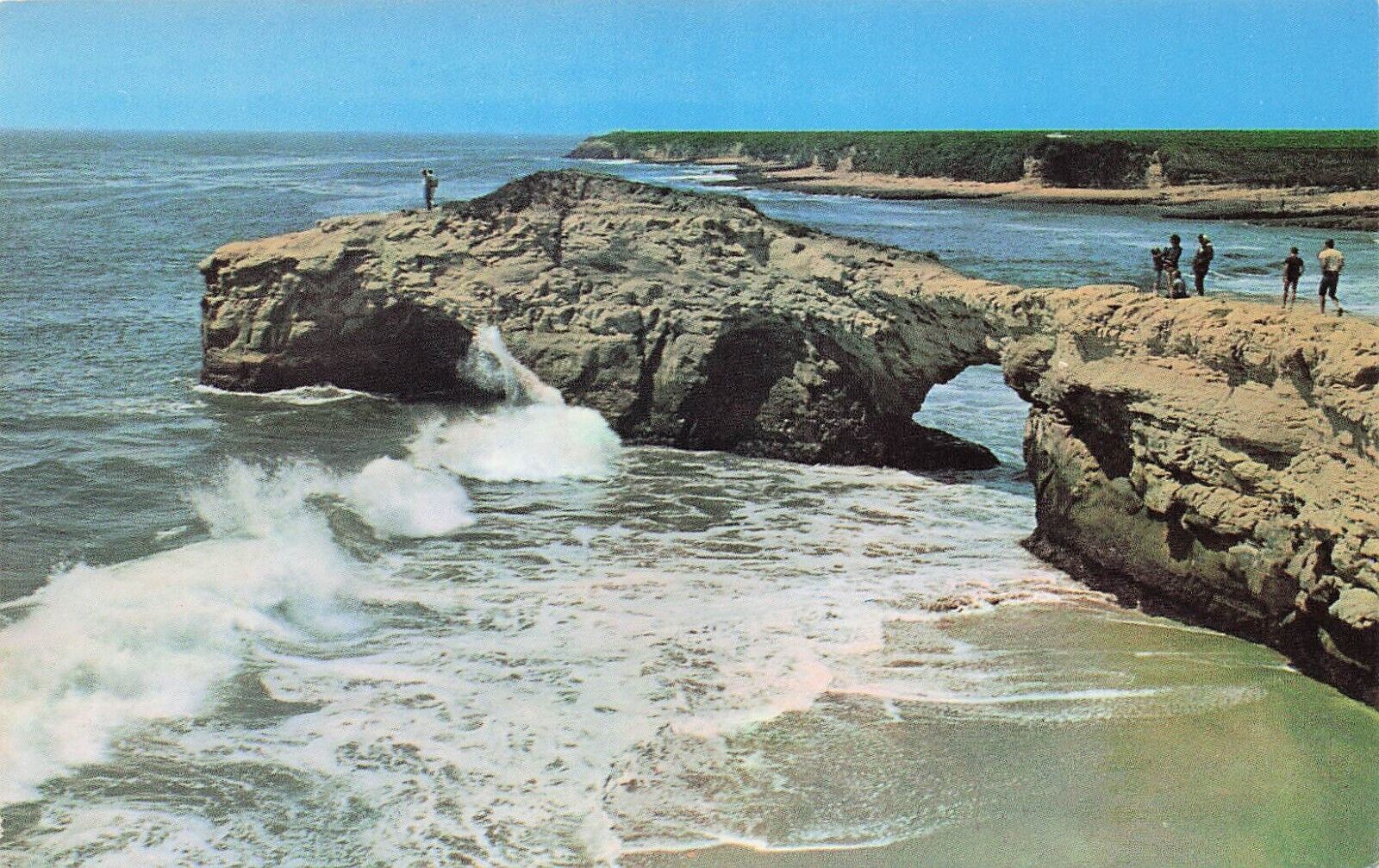 Santa Cruz CA California Beach Natural Bridges Park Fishing Vtg Postcard D54