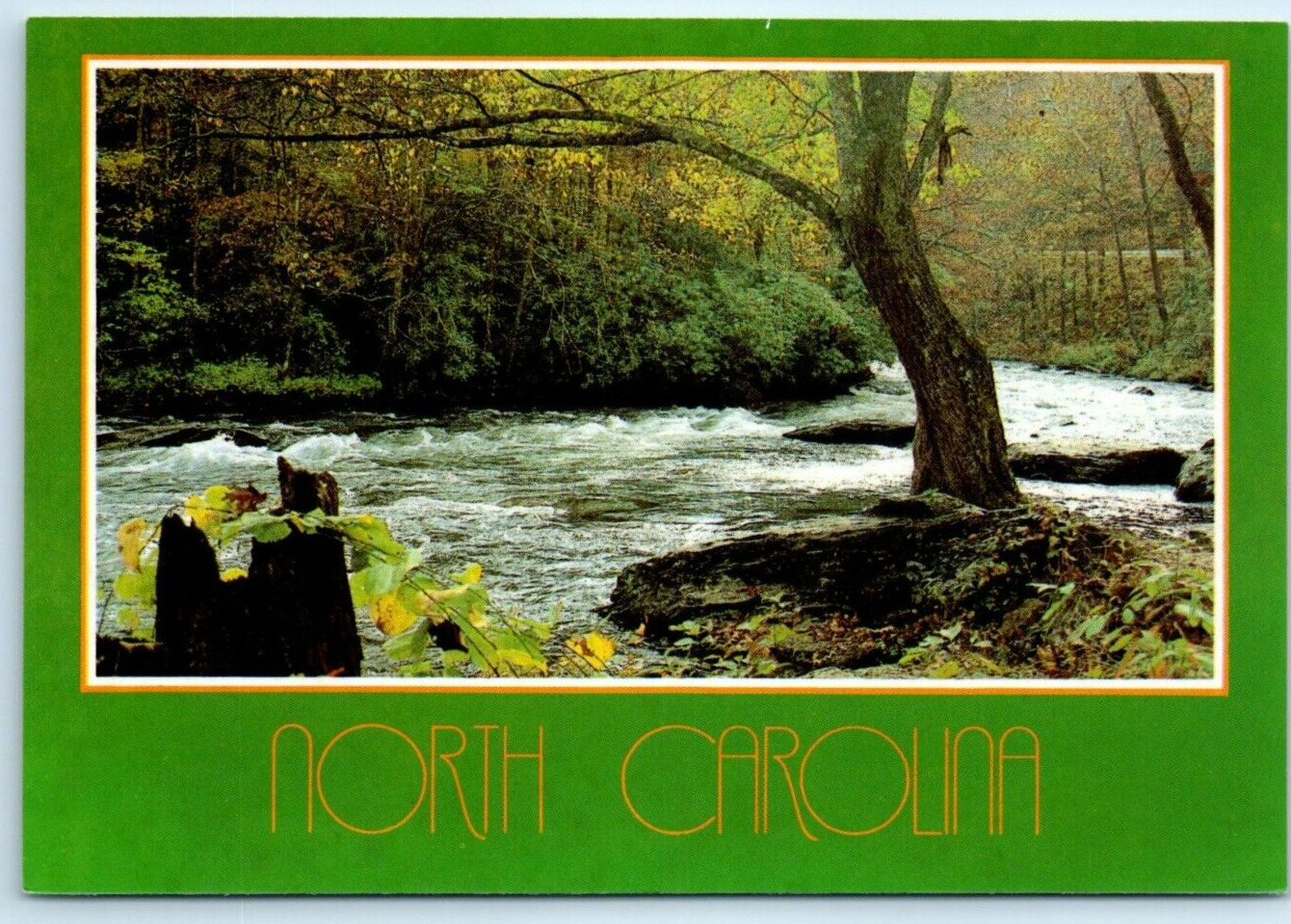 The Nantahala River a Peaceful View North Carolina Postcard