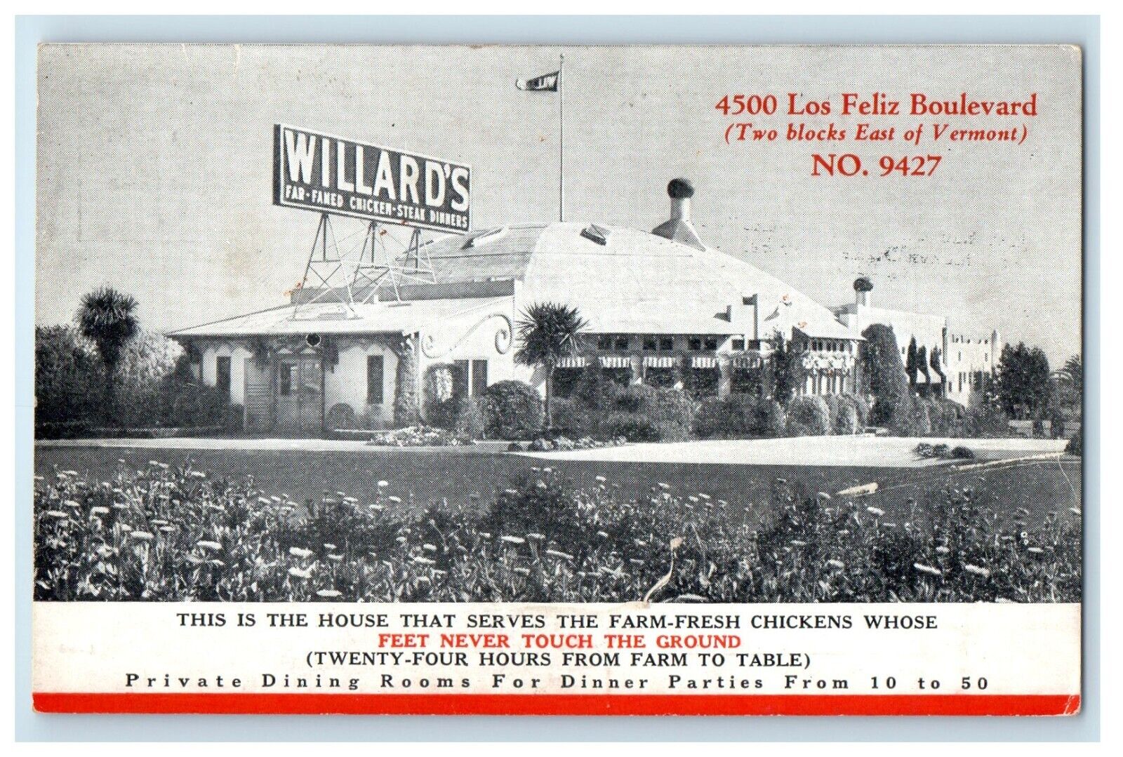 c1900's Willards 4500 Los Feliz Boulevard Farm Los Angeles California Postcard