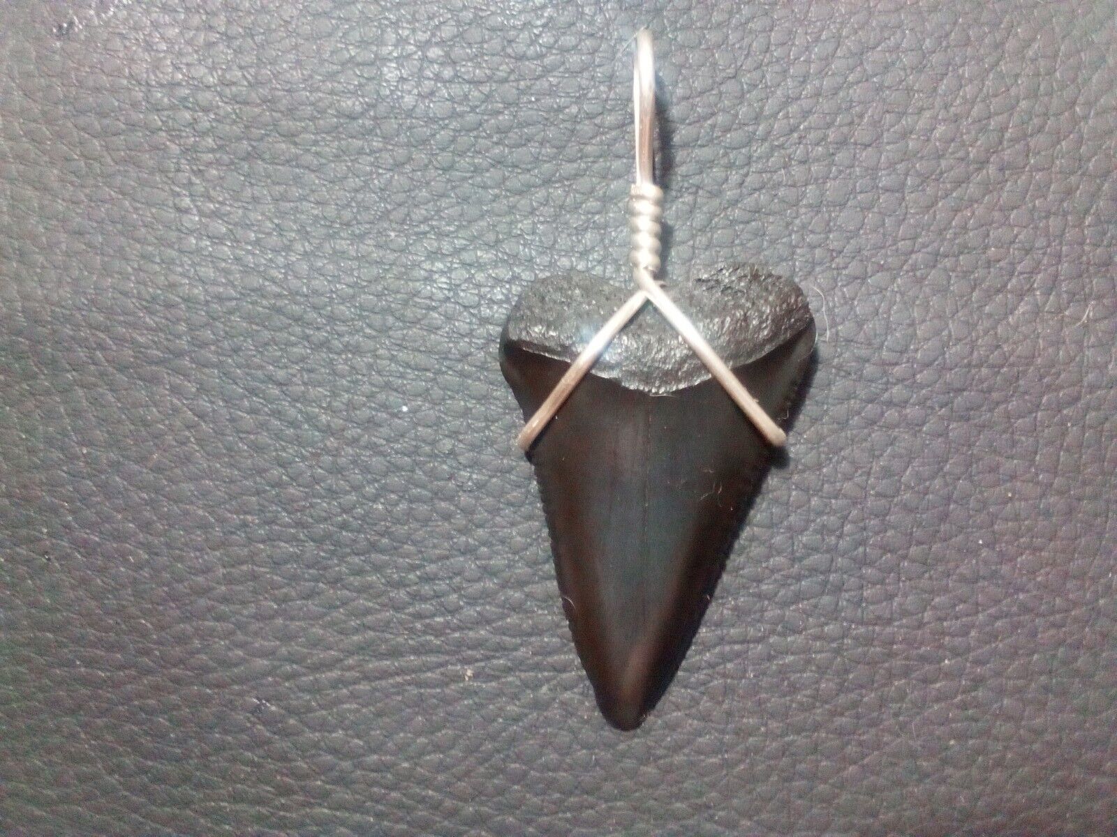 Gorgeous 1.66 Great White Sharks Tooth Pendant With Sterling Silver Hand Wrap