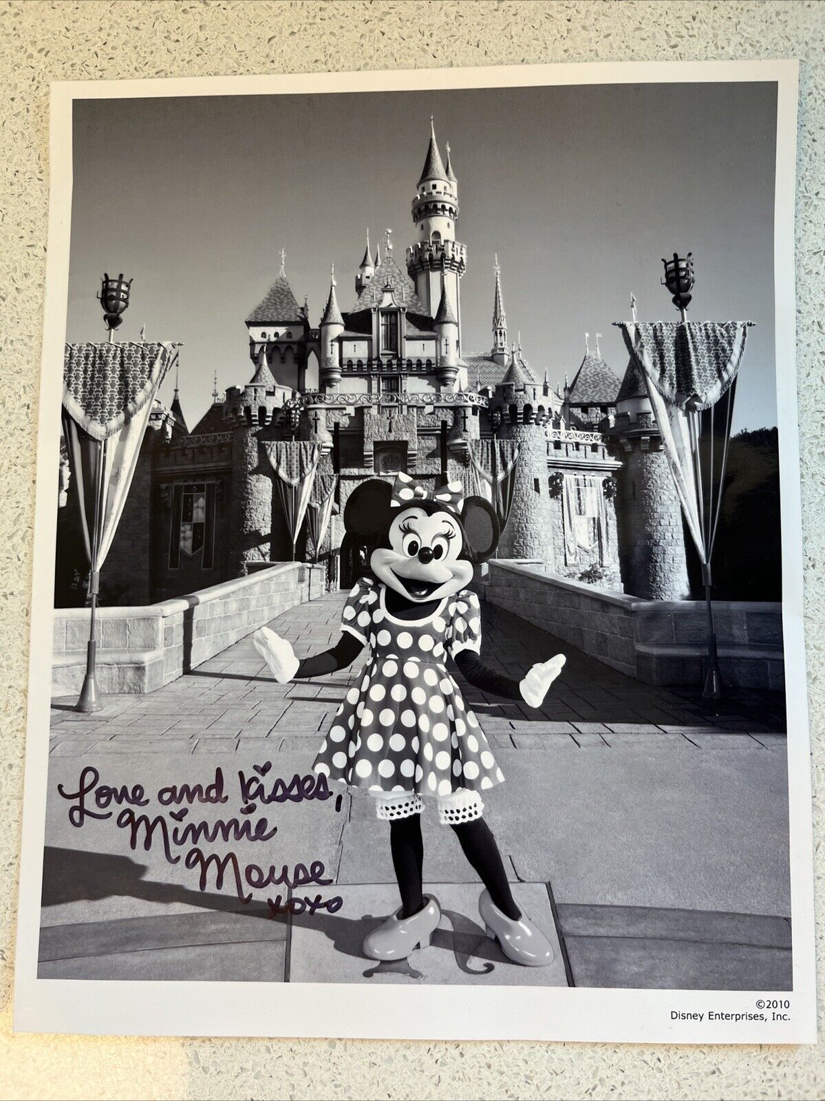 Walt Disney Minnie Mouse Photographed SIGNED 2010 Disney Enterprises 8x10