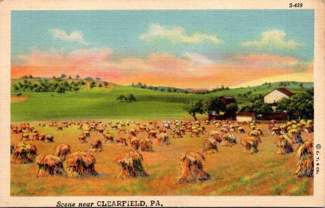 Postcard Scene near Clearfield PA Hay Bales