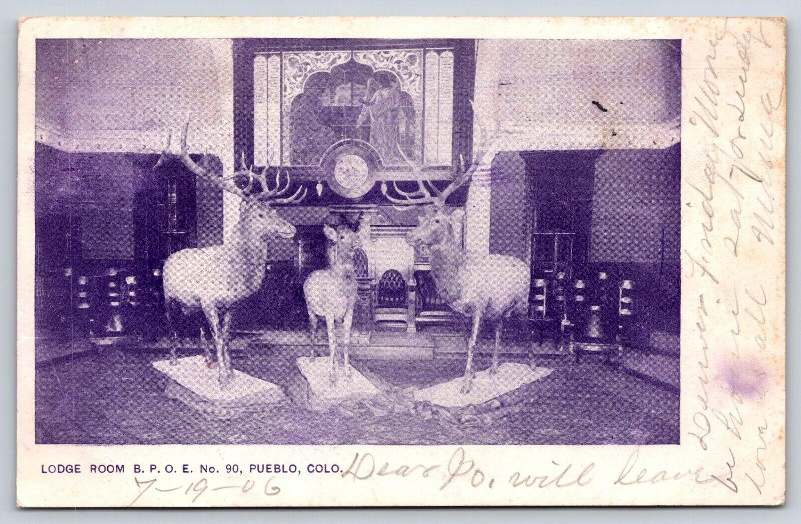 Original Old Vintage Indoor Postcard Elks Lodge Animals Pueblo Colorado USA 1906