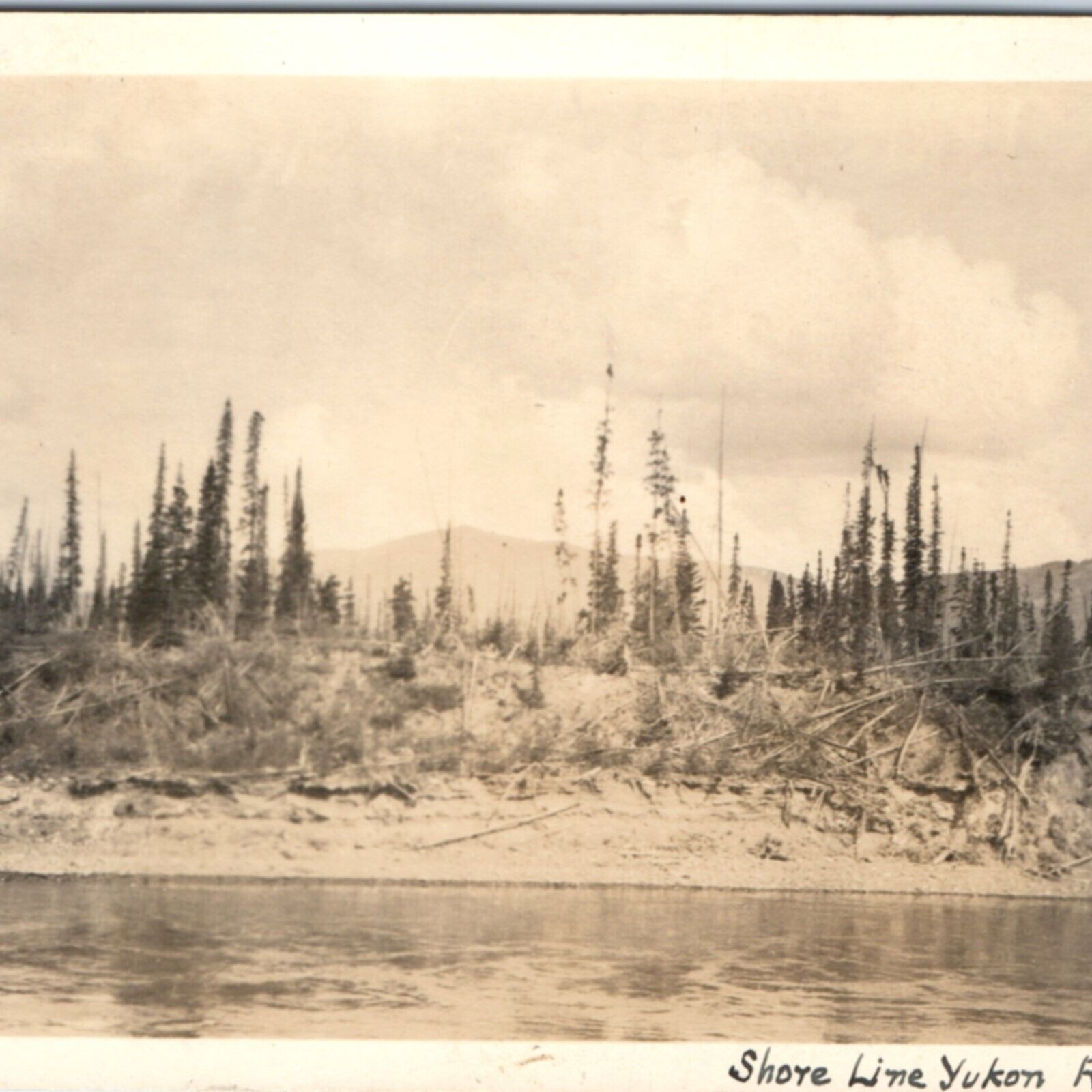 1900s Alaska Yukon River RPPC Shoreline Timber Trees Scene Real Photo PC AK A136