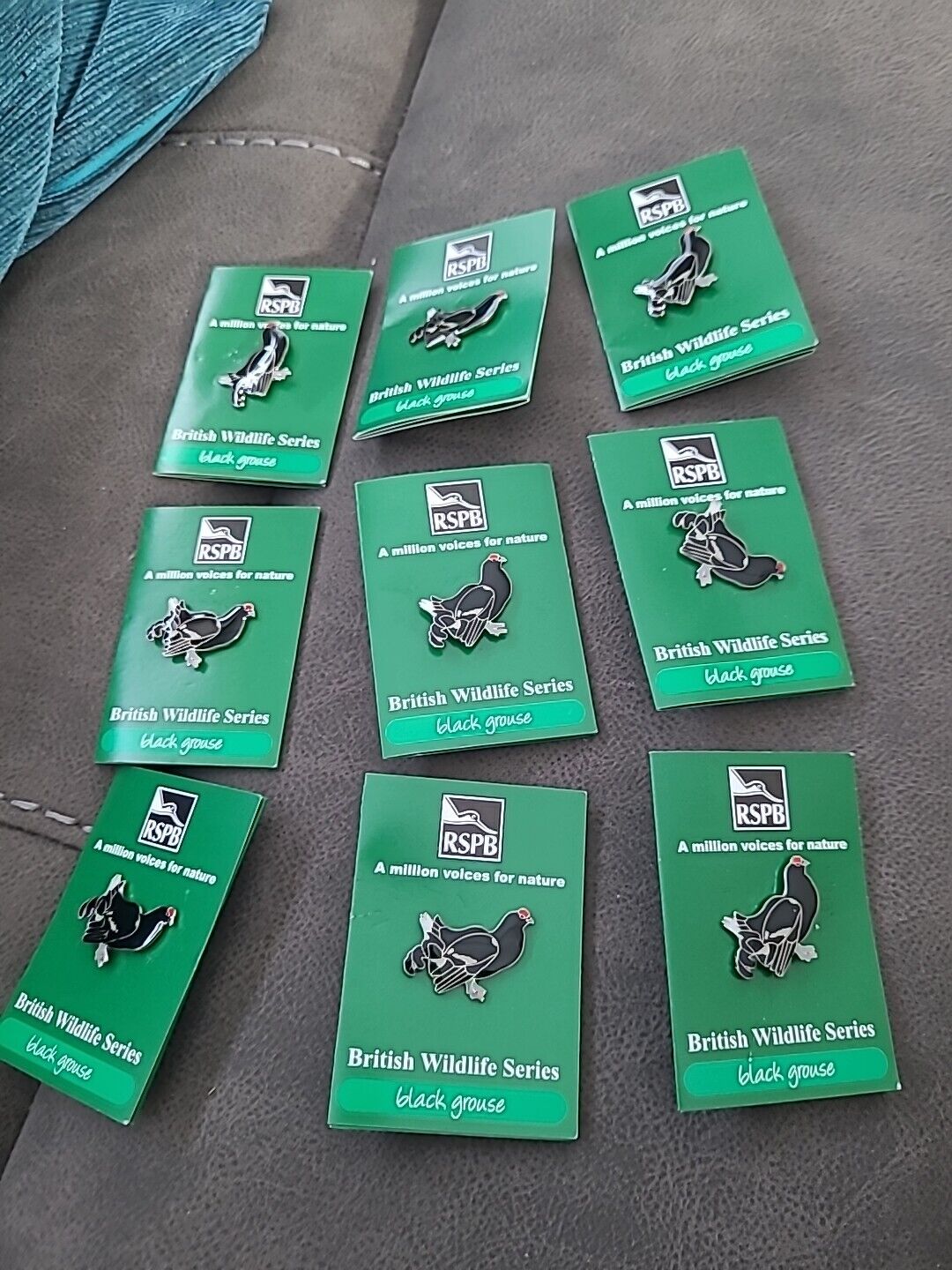 RSPB PIN BADGE Black Grouse On MVFN Card