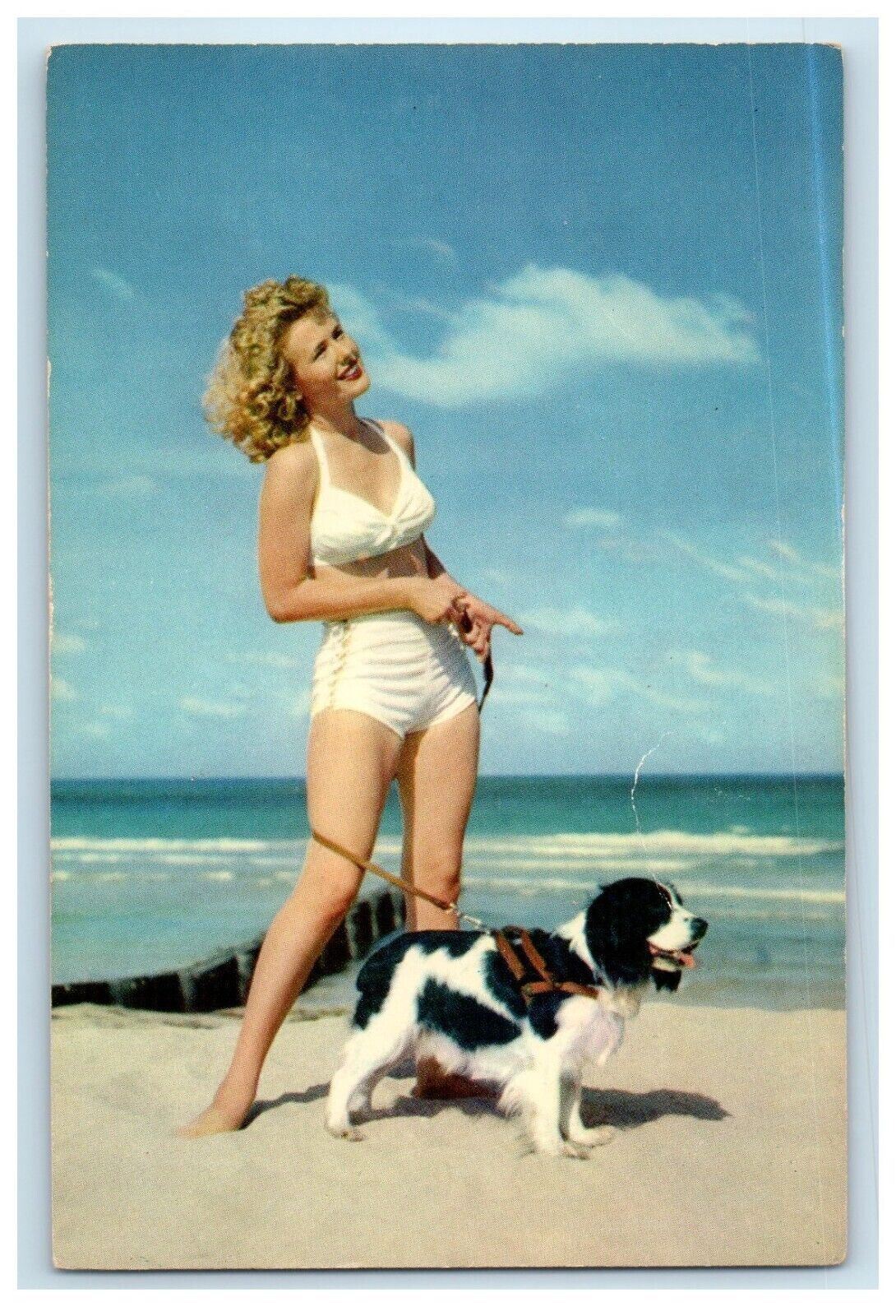 c1950's Sexy Girl And Paddle Dog Strolling On The Beach Vintage Postcard