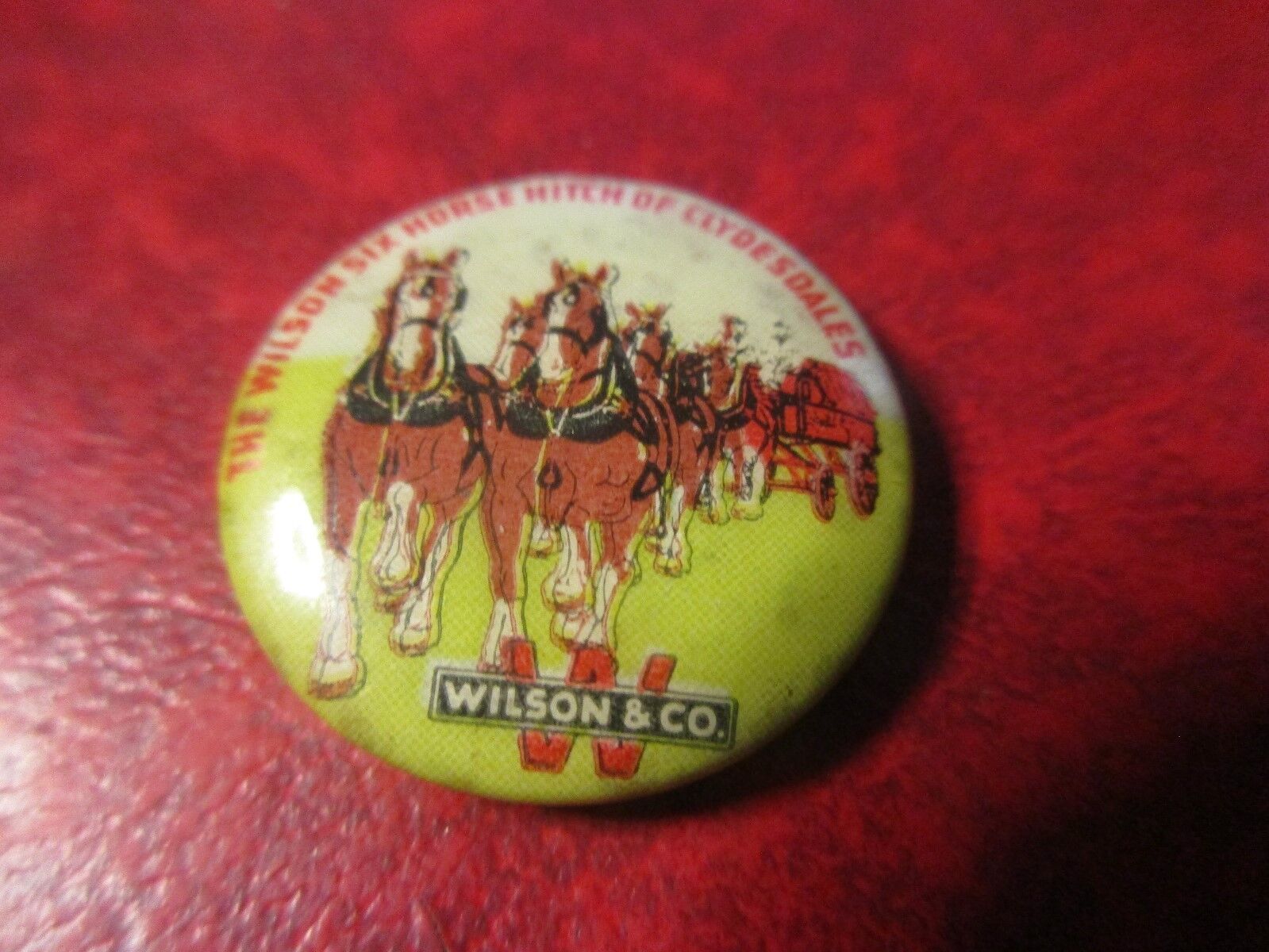 Antique Wilson Meat Packers Pin - Six Clydedales