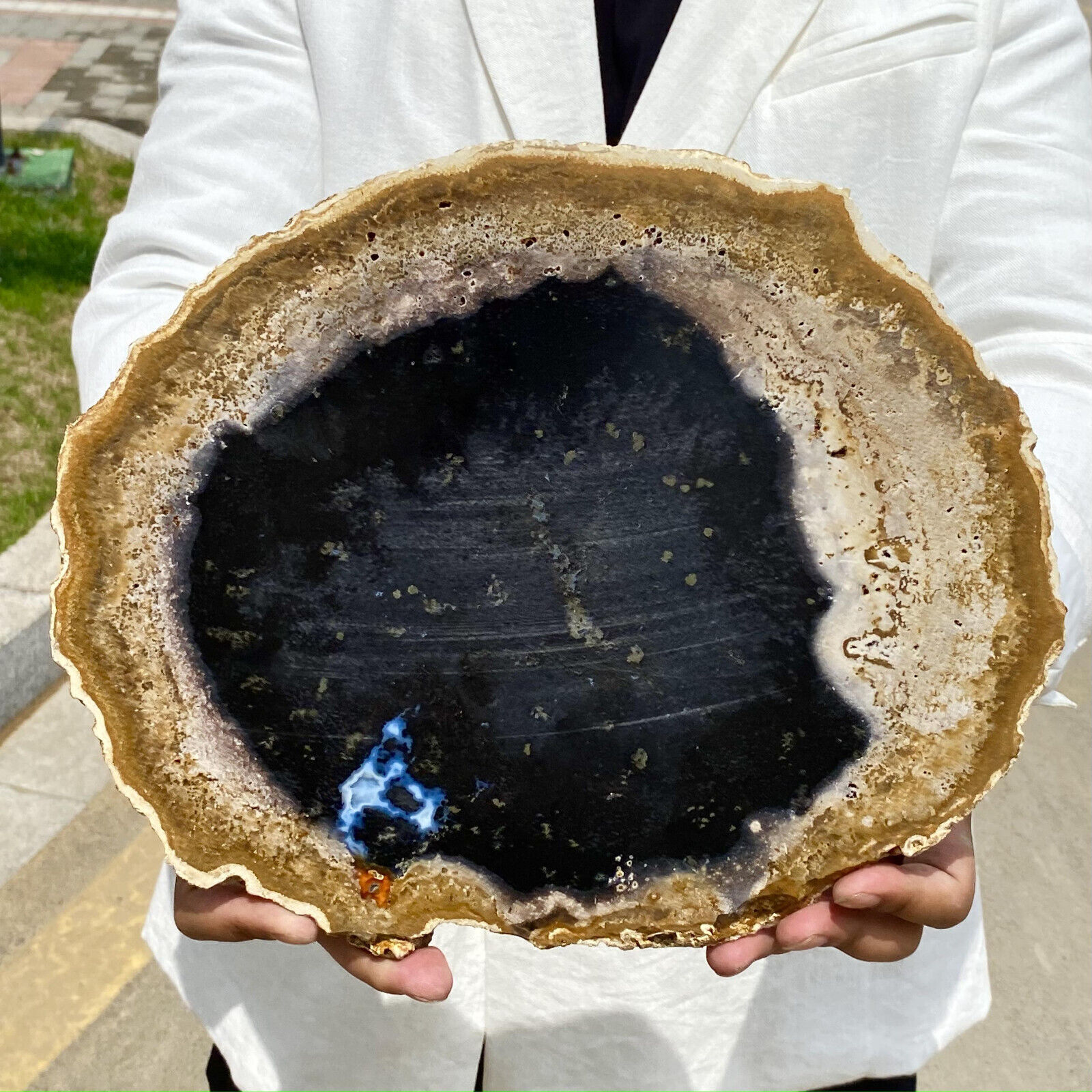 5.28LB Large Natural Petrified Wood Crystal Fossil Slice Shape Specimen Healing