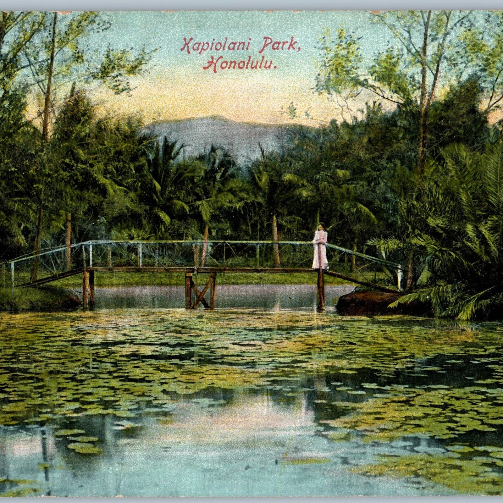 c1910s Honolulu, HI Kapiolani Park Swamp Bridge Nichols Hawaii Territory TH A188