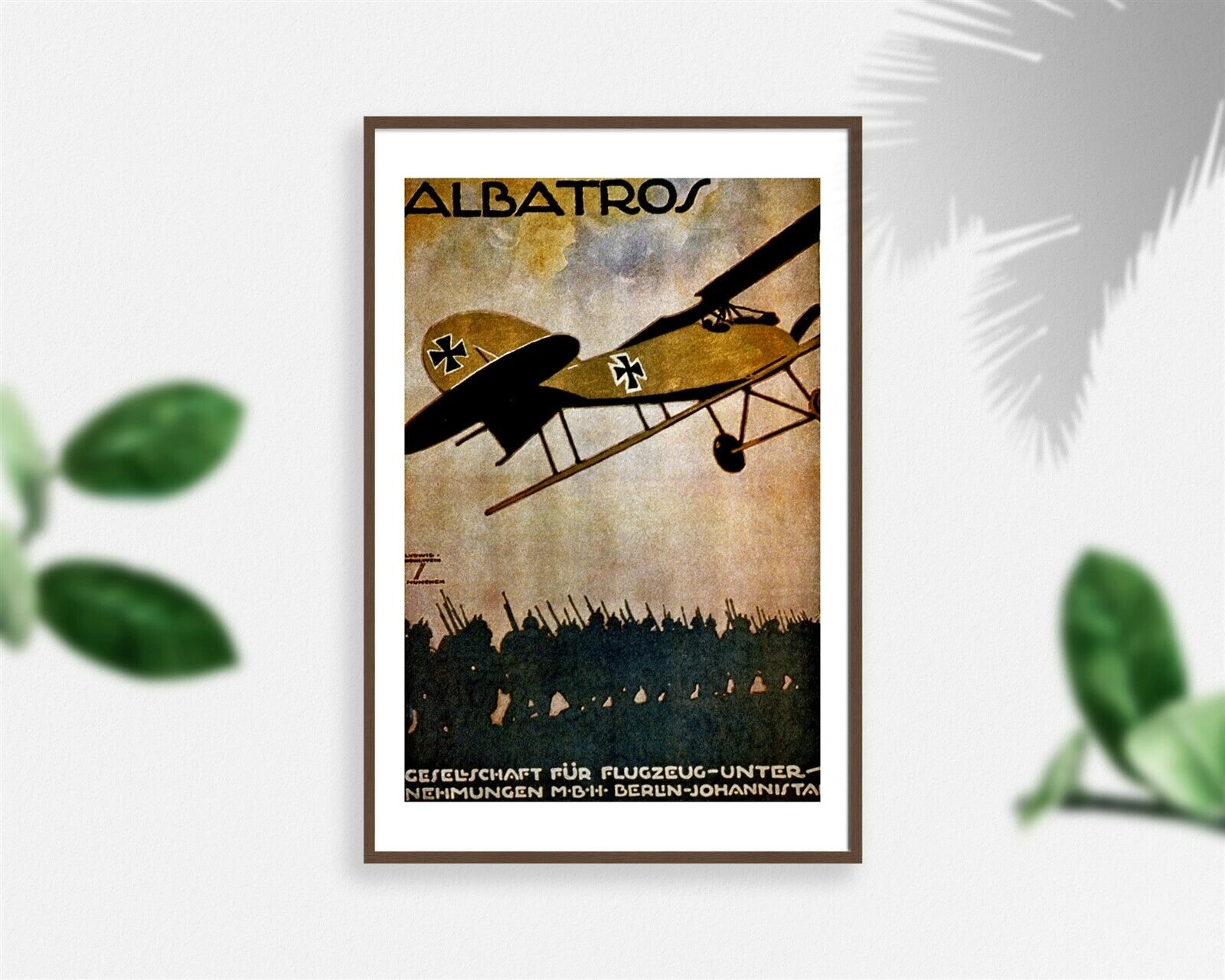Photo: Albatros,Gesellschaft für Flugzeug,Unternehmungen M.B.H. Berlin,Johannist