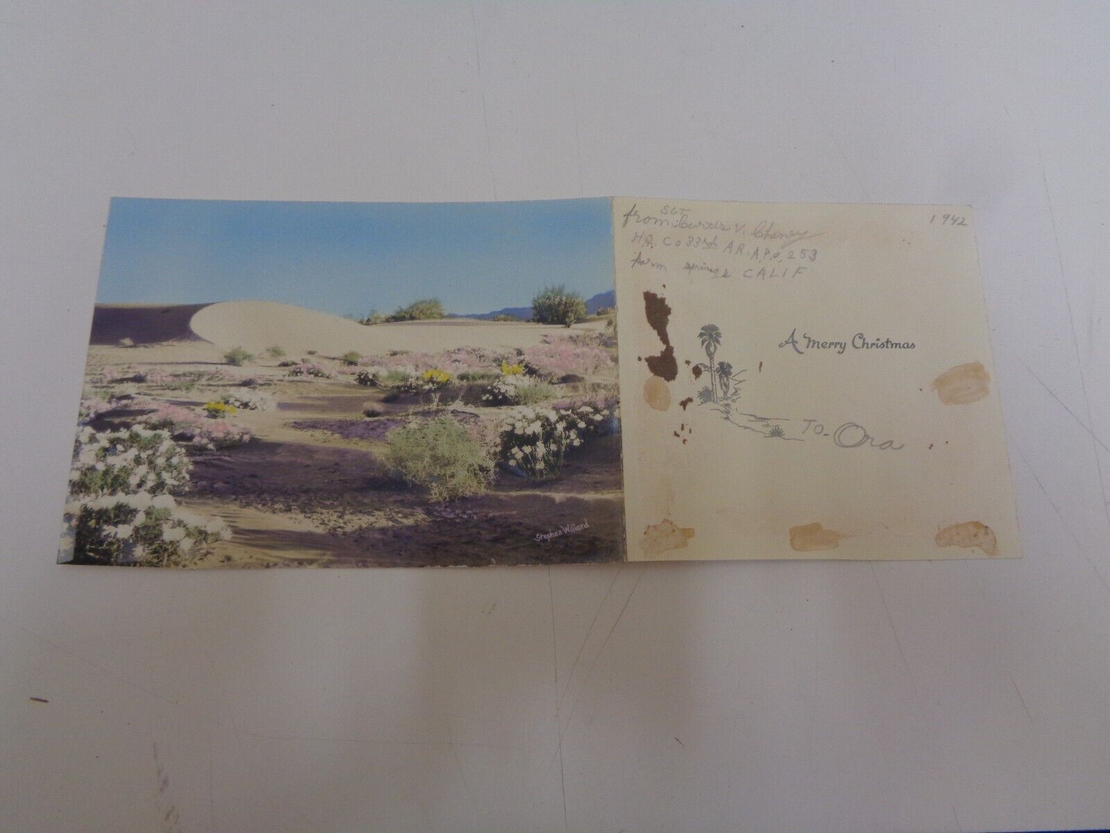 Vintage Stephen H. Willard Palm Springs Hand-Colored Photo Desert 1942 Card