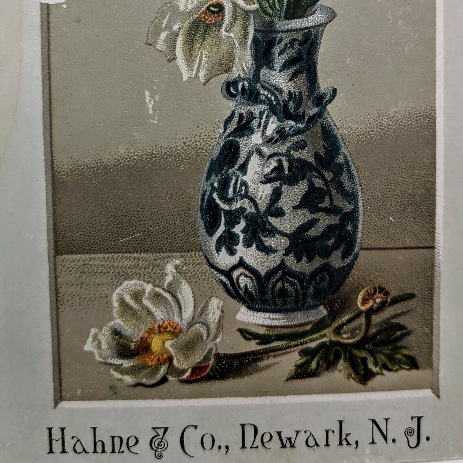 c1880s Newark, NJ Hahne & Co. Wilting Flower Vase Trade Card Framed Antique C53