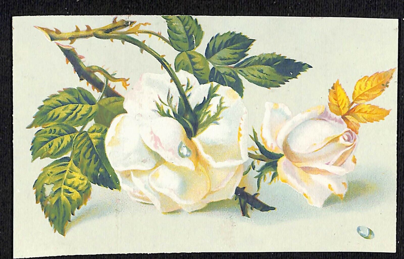 c1880's-90's Victorian Trade Card Union Tea & Coffee Burling Slip, NY Roses
