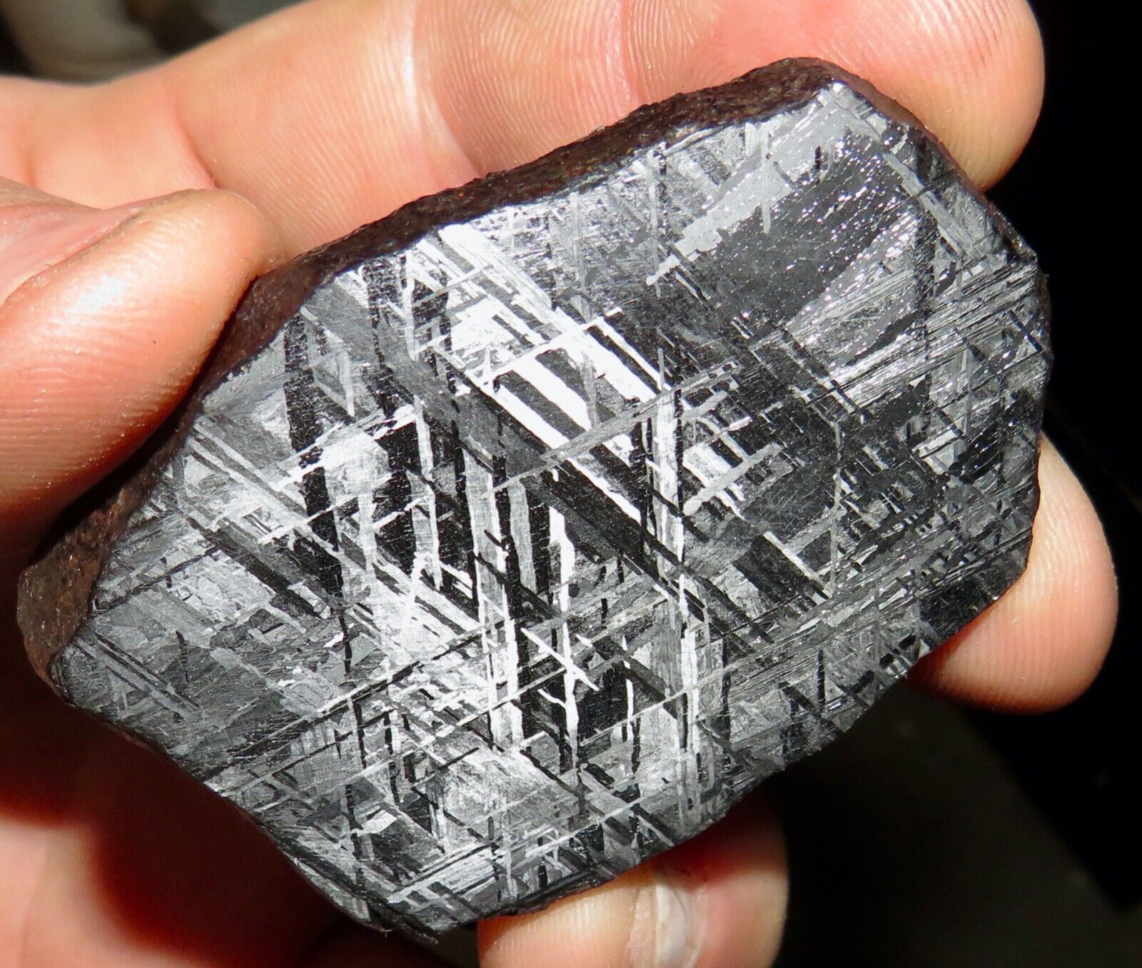 115 GM ETCHED GIBEON IRON METEORITE SLICE MUSEUM  GRADE   NAMIBIA AFRICA