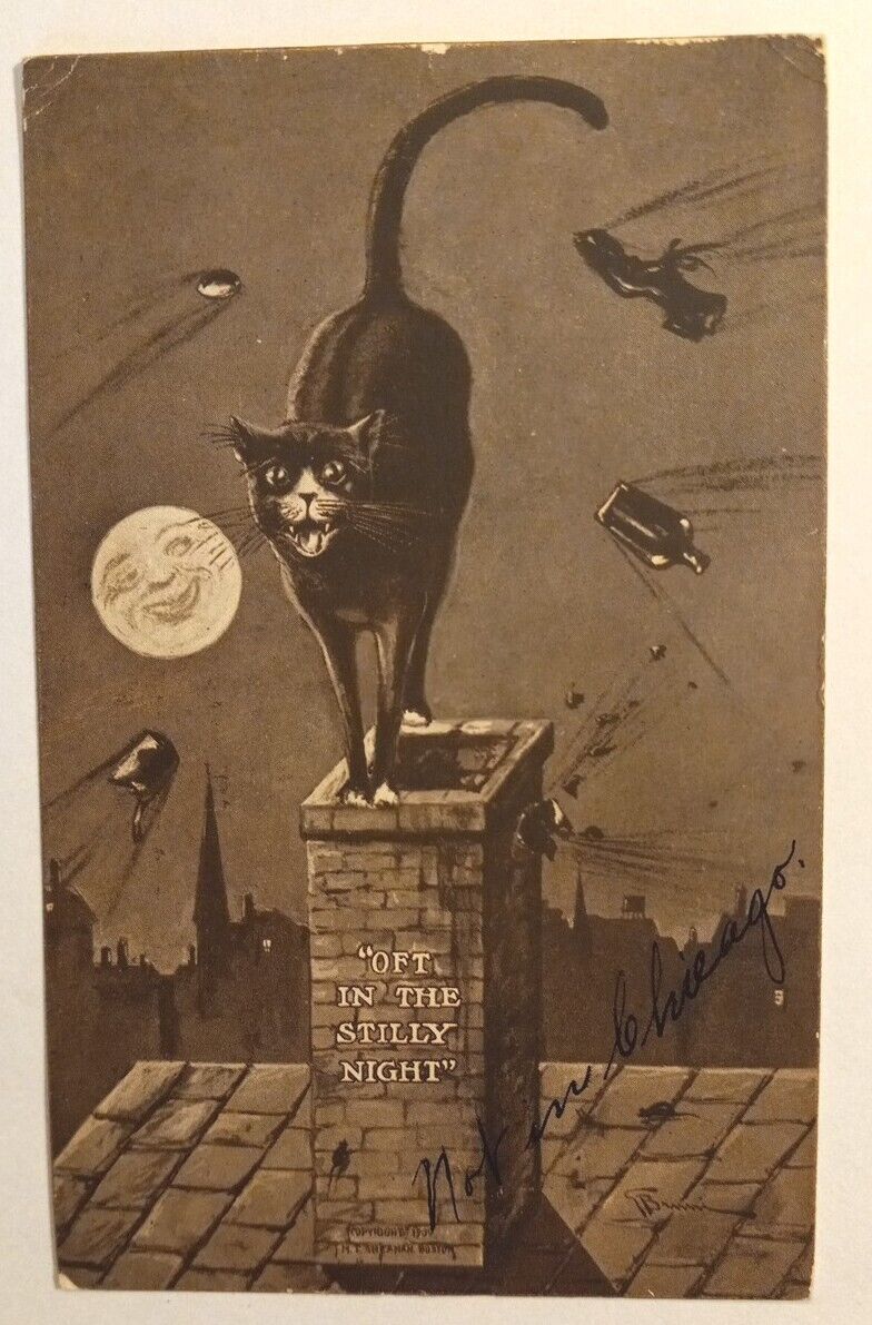 Antique Vntg Halloween Sepia Postcard, Loud Black Cat On Roof, Full Moon 1909
