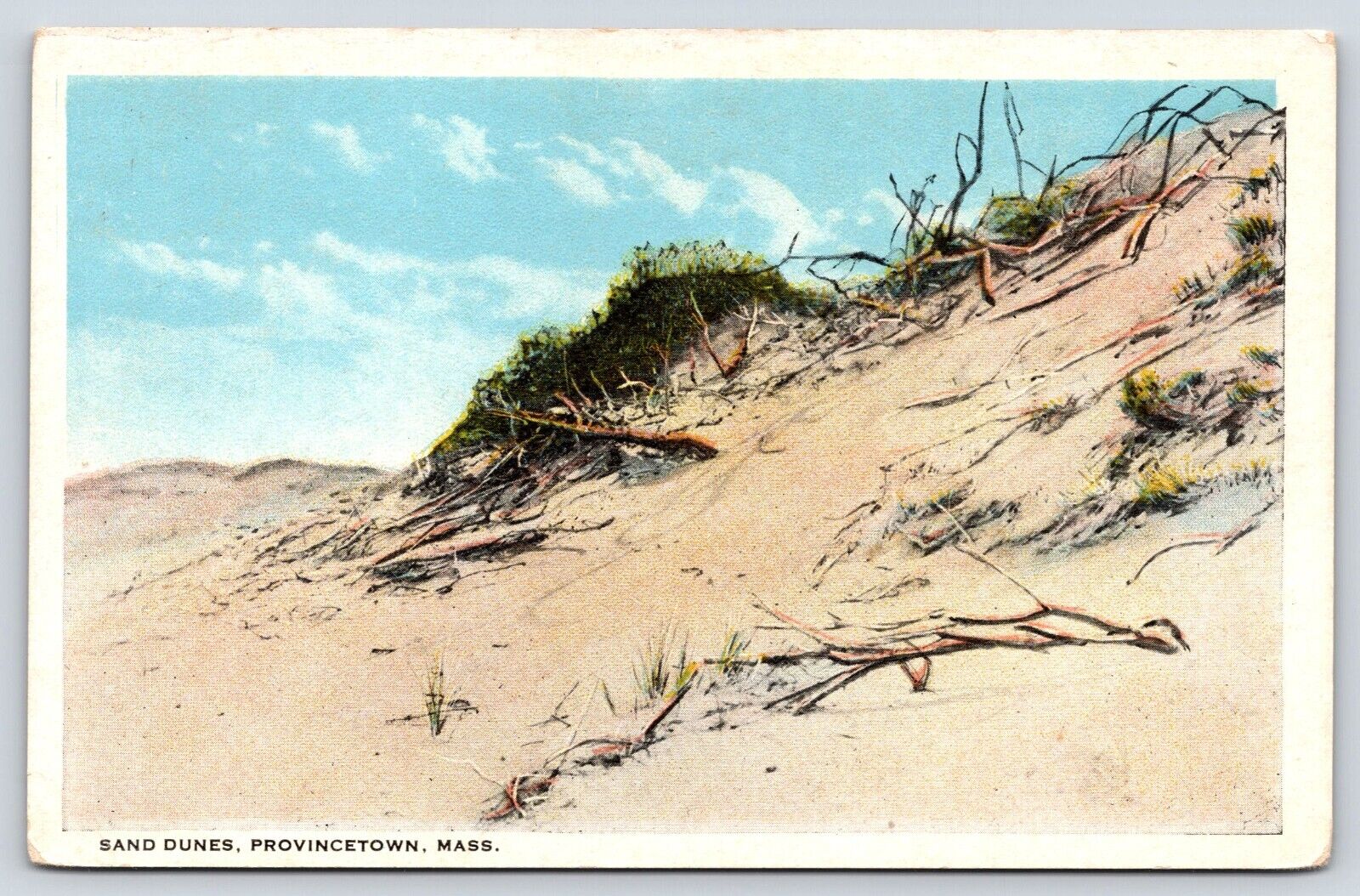 Massachusetts Provincetown Sand Dunes Vintage Postcard