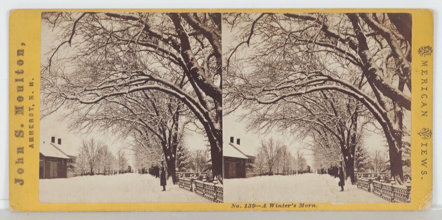 James Moulton, Winter Scene, Amherst, NH, 1860s/70s, SV