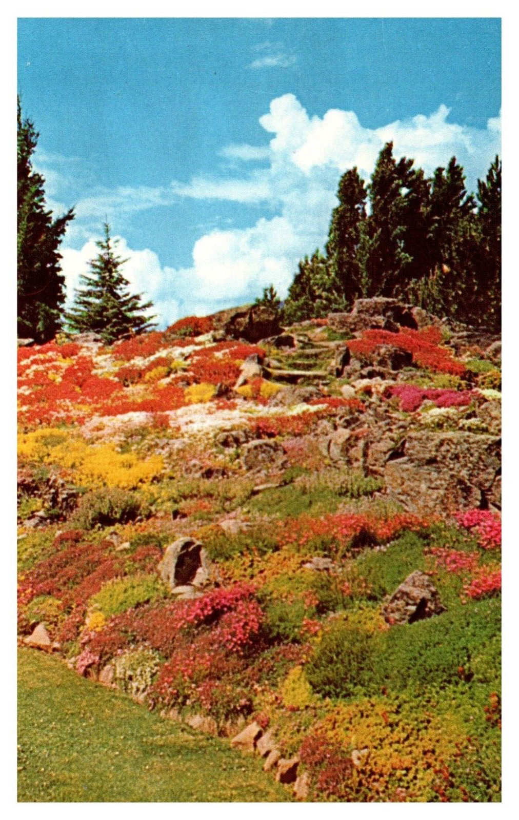 Wenatchee WA Washington Ohme Gardens Rockeries Chrome Postcard