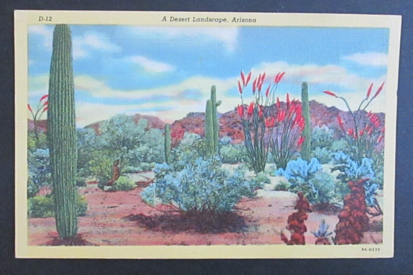 A Desert Landscape Arizona AZ Unposted Linen Postcard