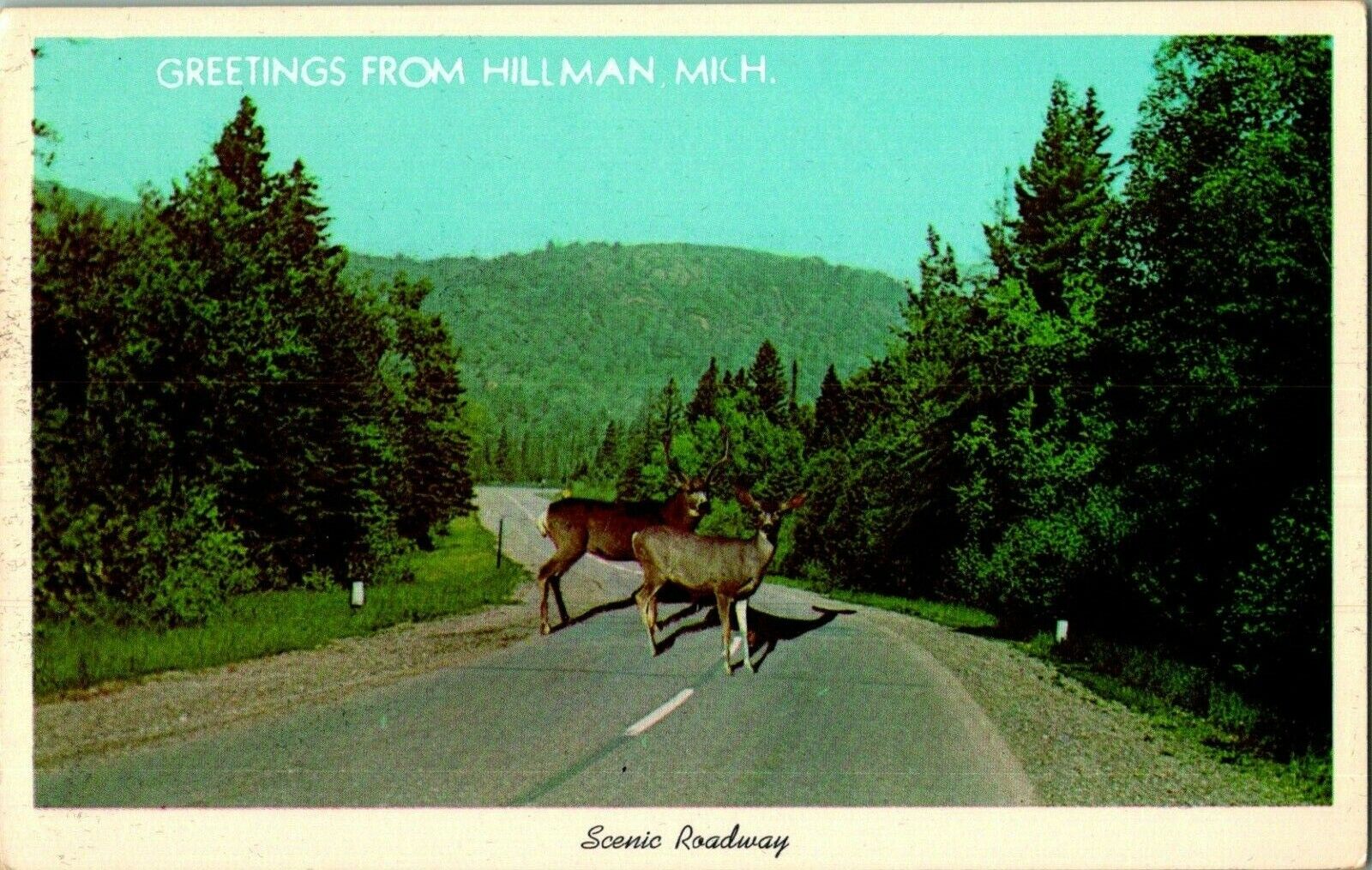 c.1950\'s Vintage Postcard Greetings From Hillman Michigan