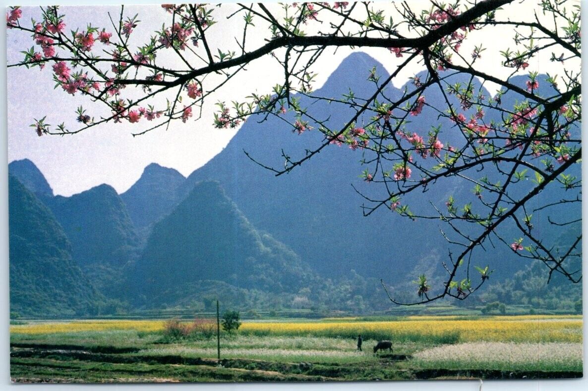 Postcard - Beautiful Spring at Guilin, China