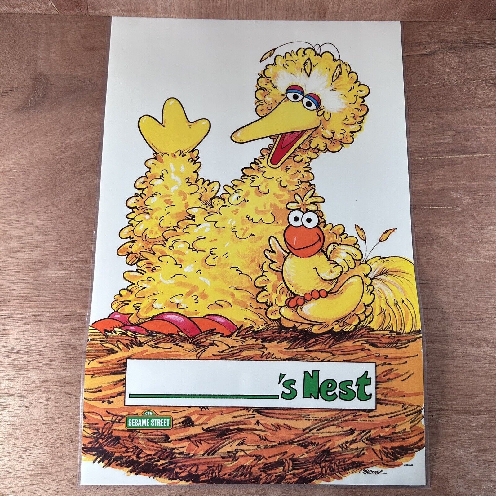 VTG 1981 Sesame Street Big Bird Someone\'s Nest Laminated Poster Made In USA