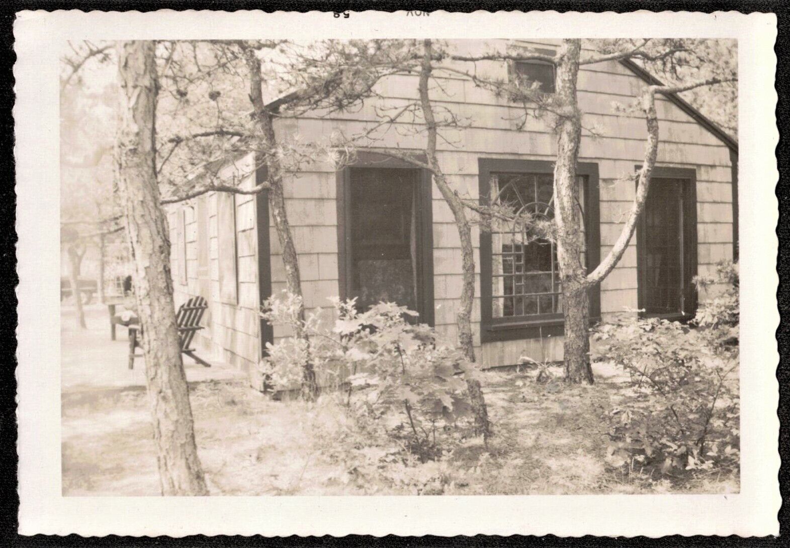 Vintage Antique Photograph Wonderful Old Country Cottage in the Woods