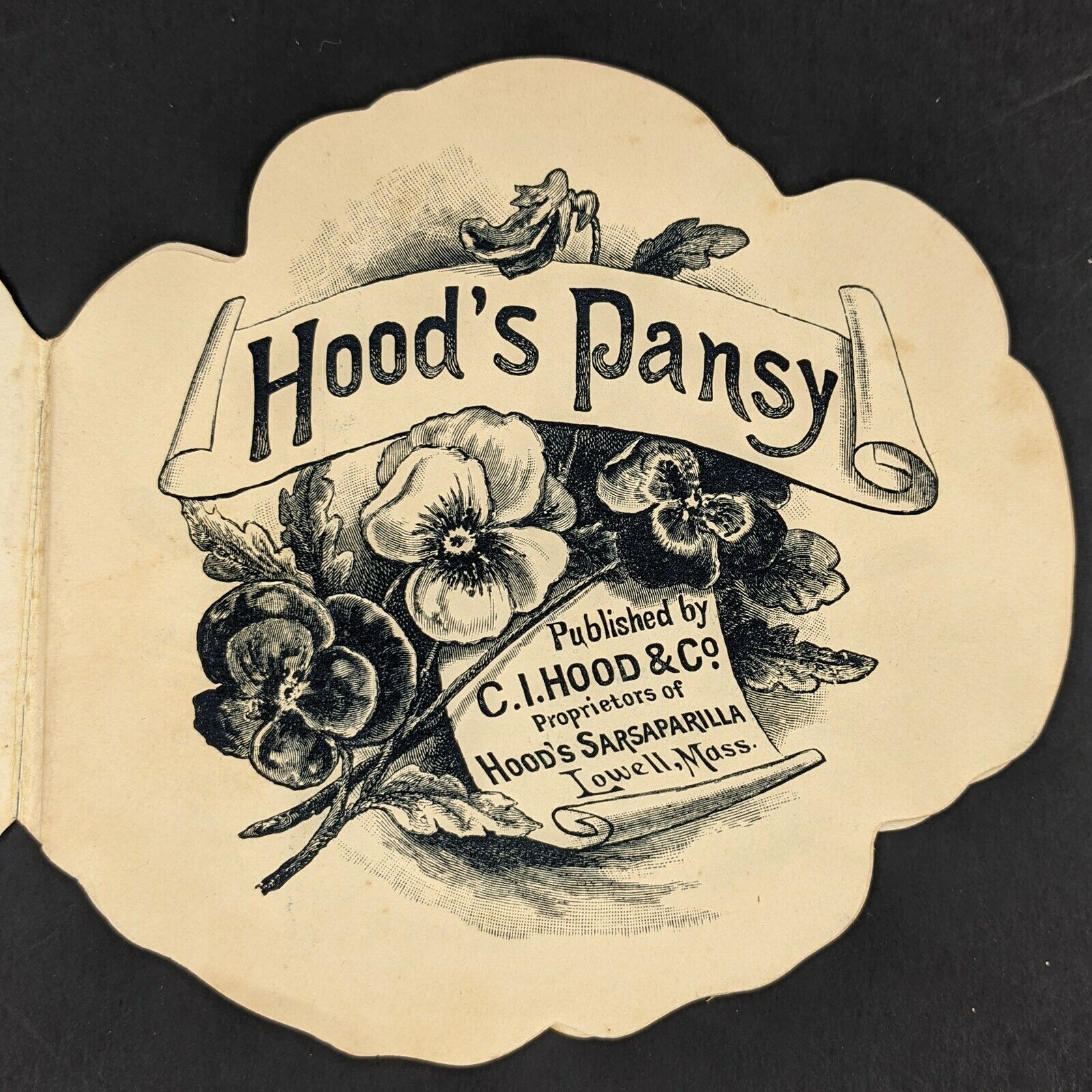 c1880s-90s C.I Hood\'s Pansy Sarsaparilla Booklet Trade Card Flower Quack Drug 5Q