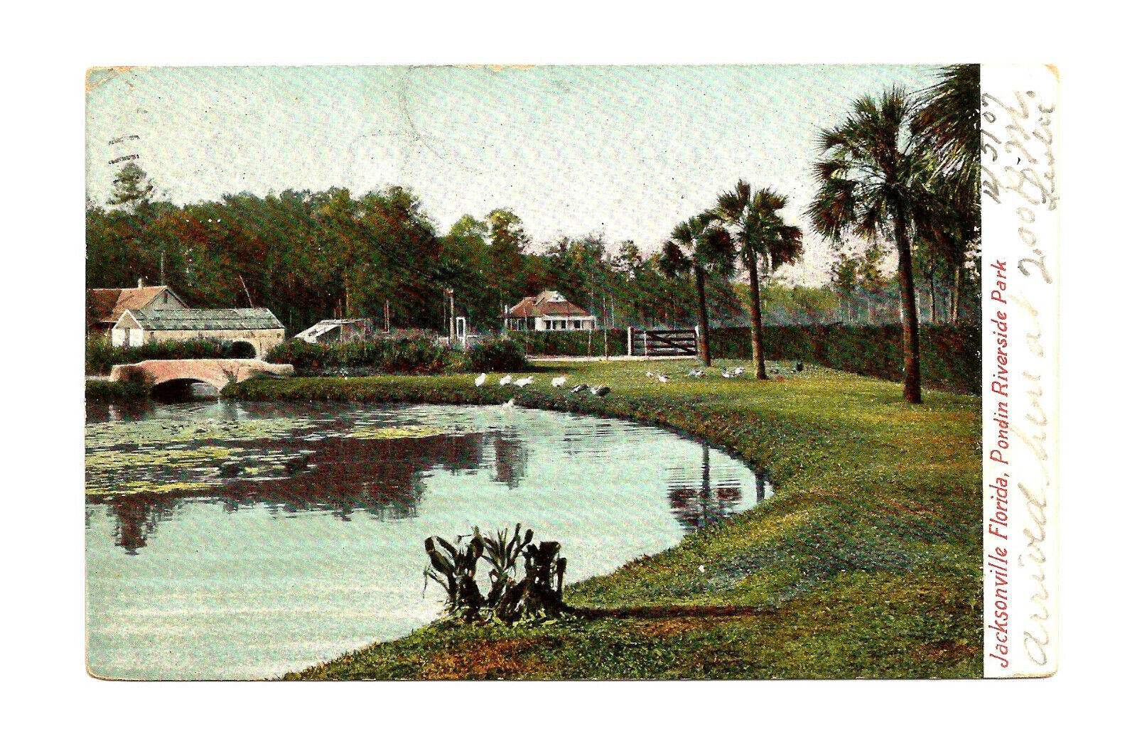 Jacksonville FL Florida Postcard Pond at Riverside Park c1907