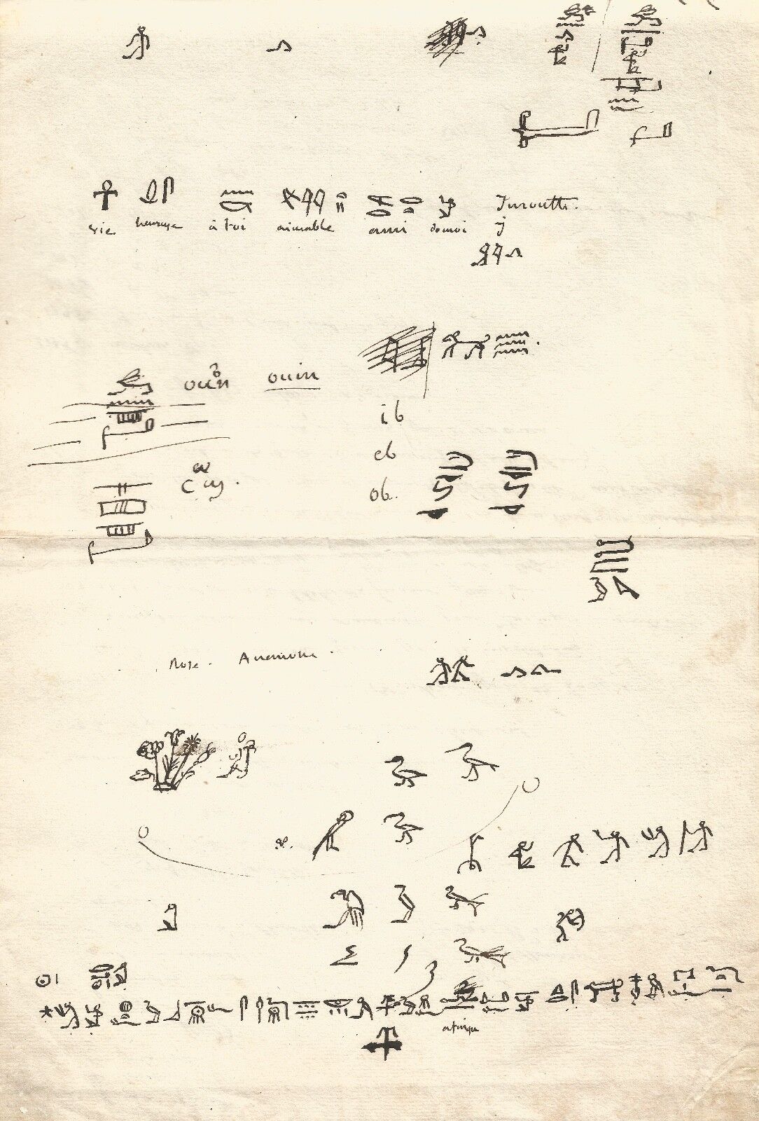 Jean-François CHAMPOLLION / Autograph manuscript. Hieroglyphs and Egyptology.