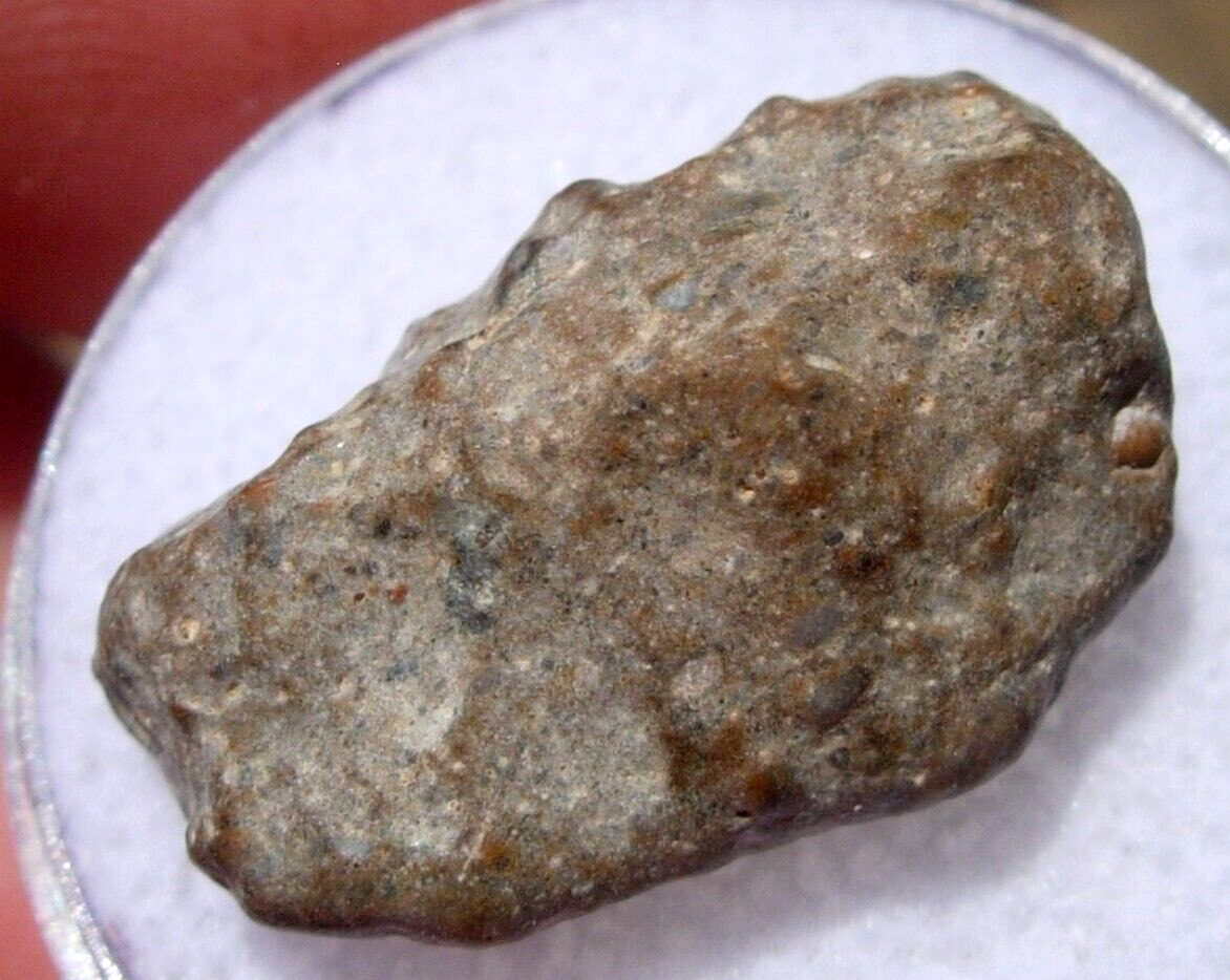 2.90 grams 20x12x9mm NWA 13974 Lunar as found Meteorite feldsp. breccia with COA