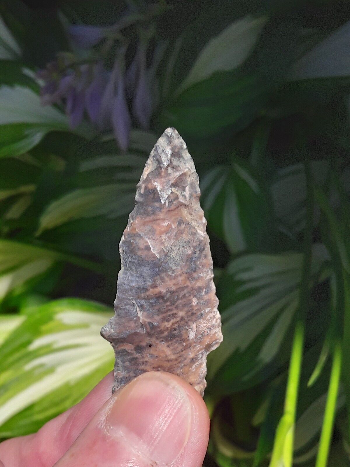 Nice Authentic Ancient Arrowhead Native American  pre 1600 N MS Color  Artifact 