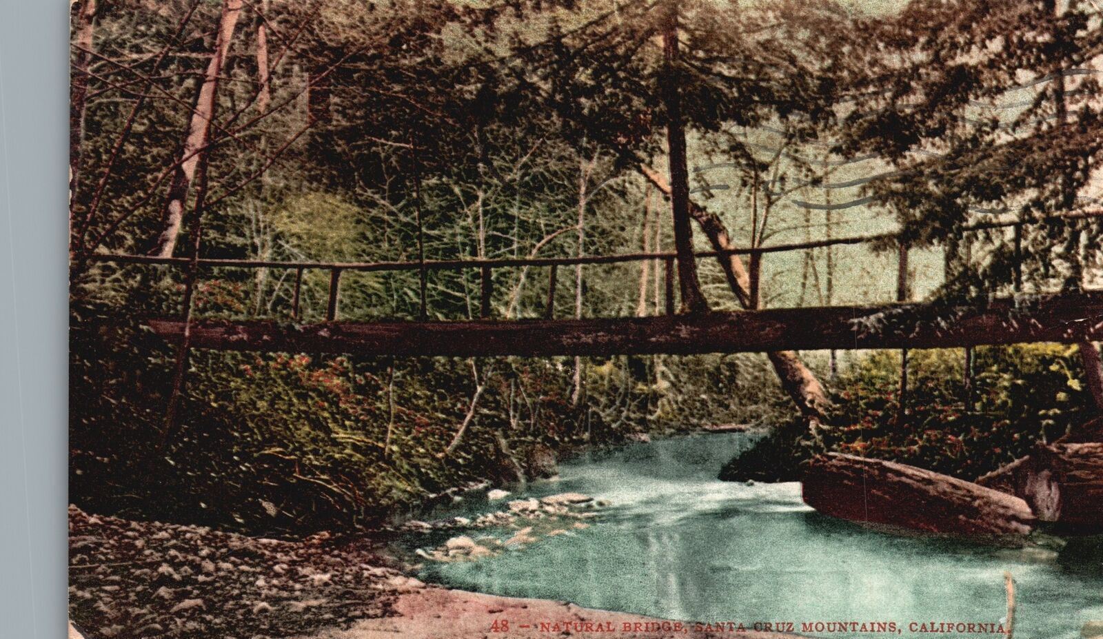 Vintage Postcard 1908 Natural Bridge Wooden Santa Cruz Mountains California CA