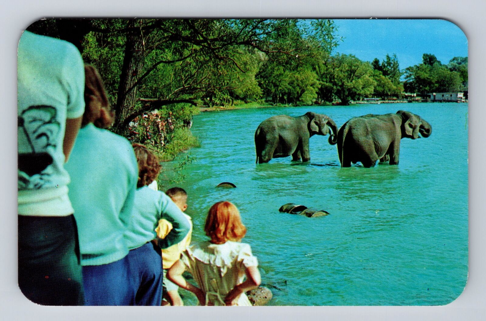 Canandaigua NY-New York, Roseland Park, Canandaigua Lake, Vintage Postcard