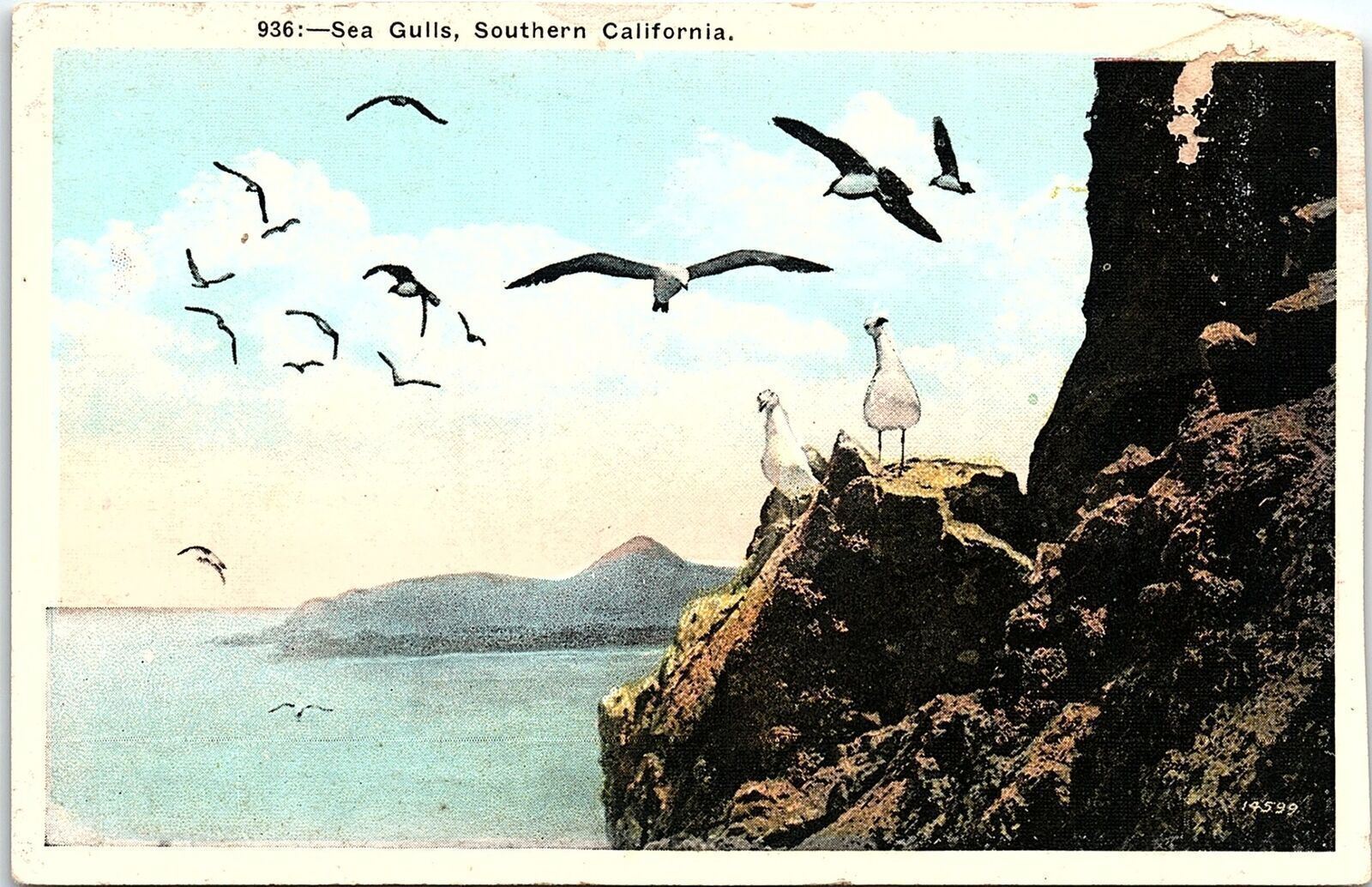 1930s SOUTHERN CALIFORNIA SEA GULLS ON CLIFFSIDE POSTCARD 42-95