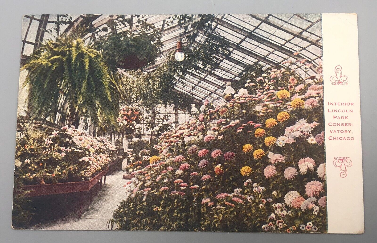 Vintage 1916 Souvenir Postcard Chicago Interior Lincoln Park Conservatory
