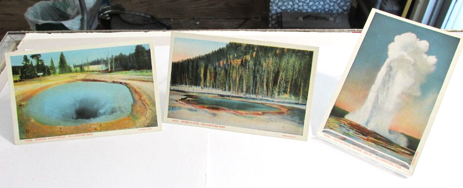 3-1915-1930 YELLOWSTONE NATIONAL PARK, Wyoming, Haynes Co. Postcards Wy.
