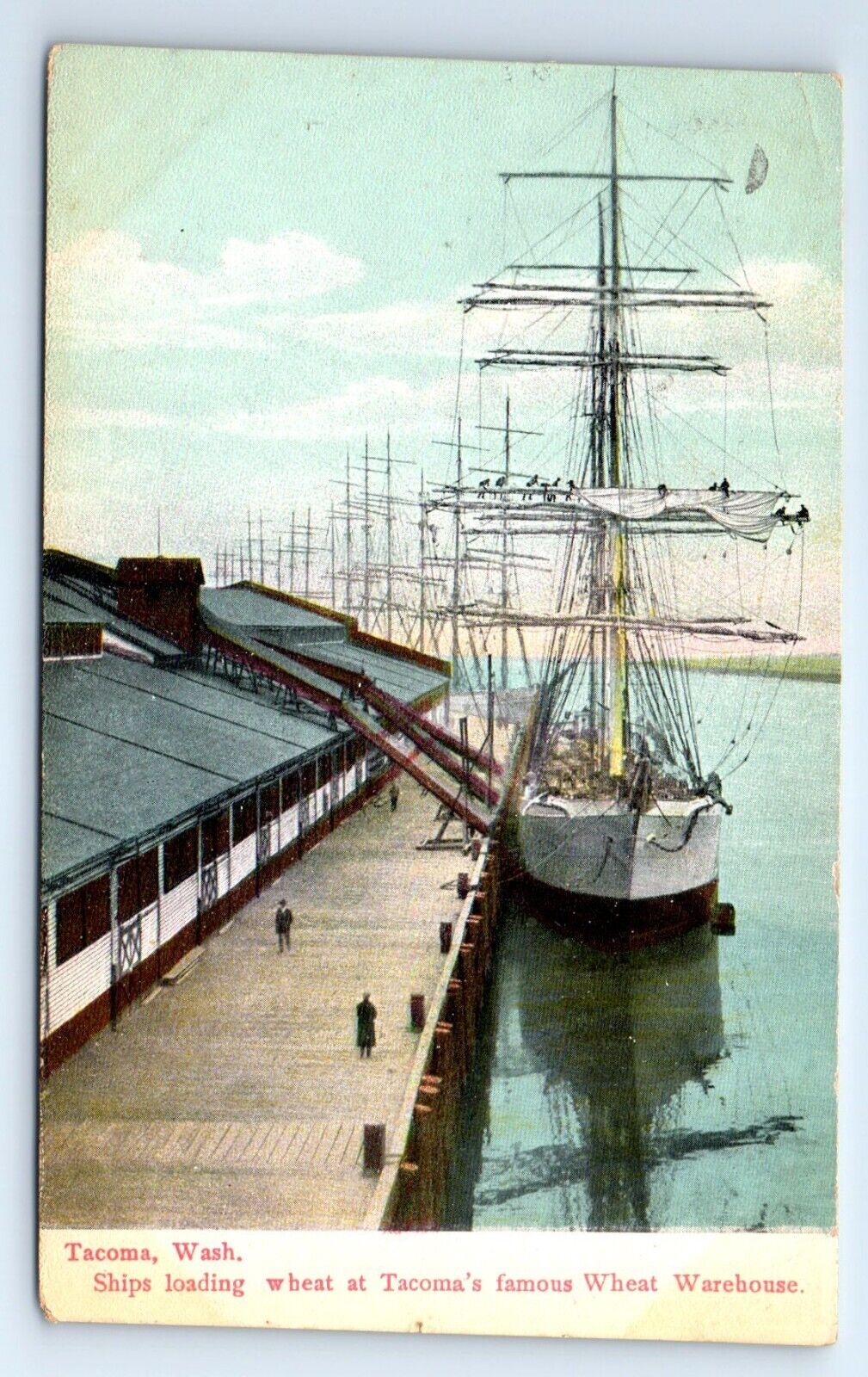 Tacoma Washington Sailing Ships Loading at Wheat Warehouse Postcard 1912
