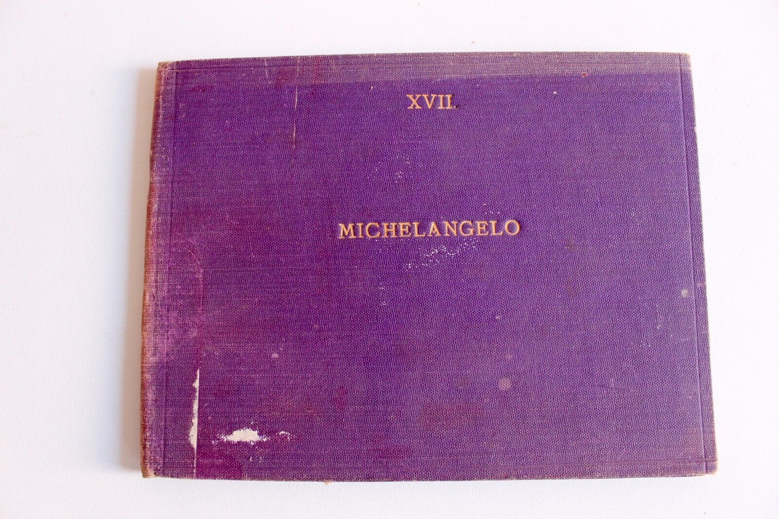 RARE PHOTO ALBUM MICHELANGELO XVII