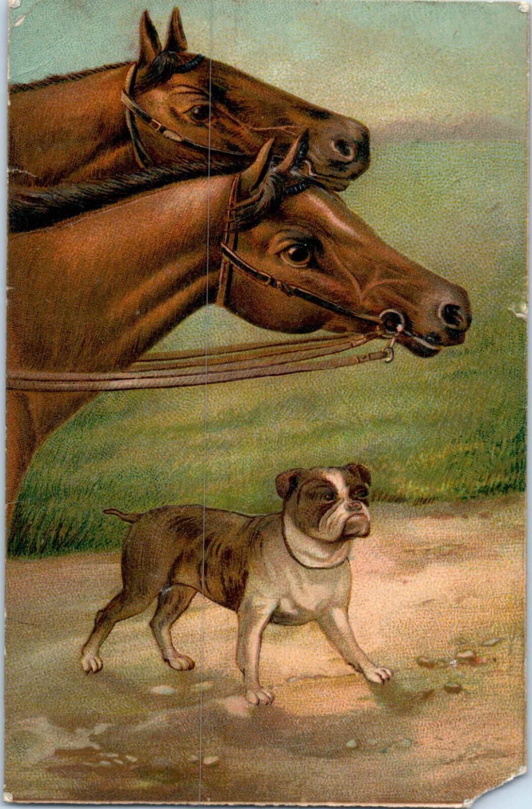 1908 Vintage Antique Postcard Beautiful Horses & Bulldog Embossed Des Moines IA
