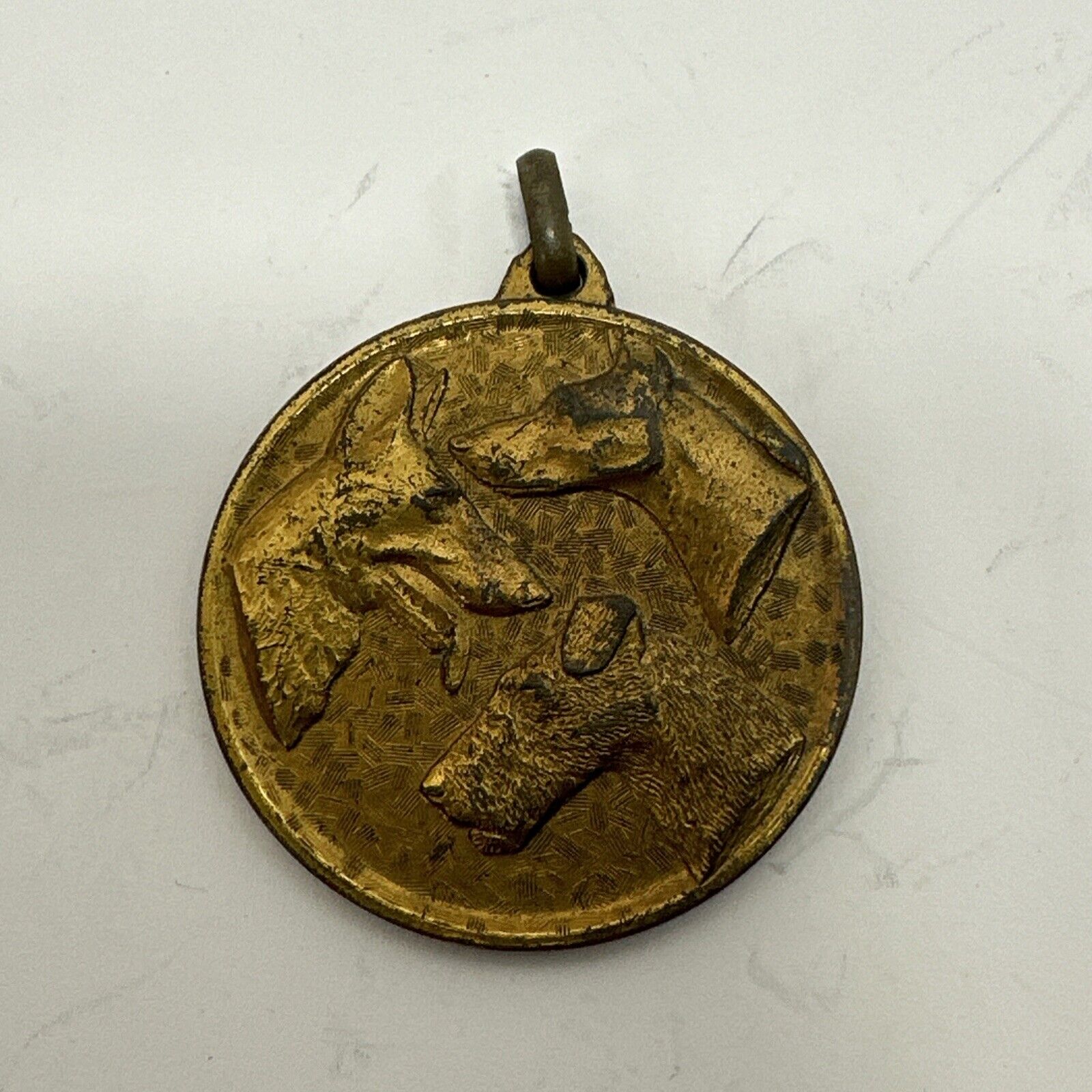 Sociedad Canina de Aragon Vintage Dog Show Medal