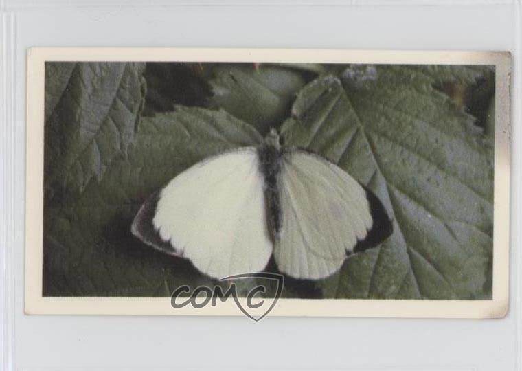 1983 Doncella British Butterflies Tobacco Large White #26 1i3