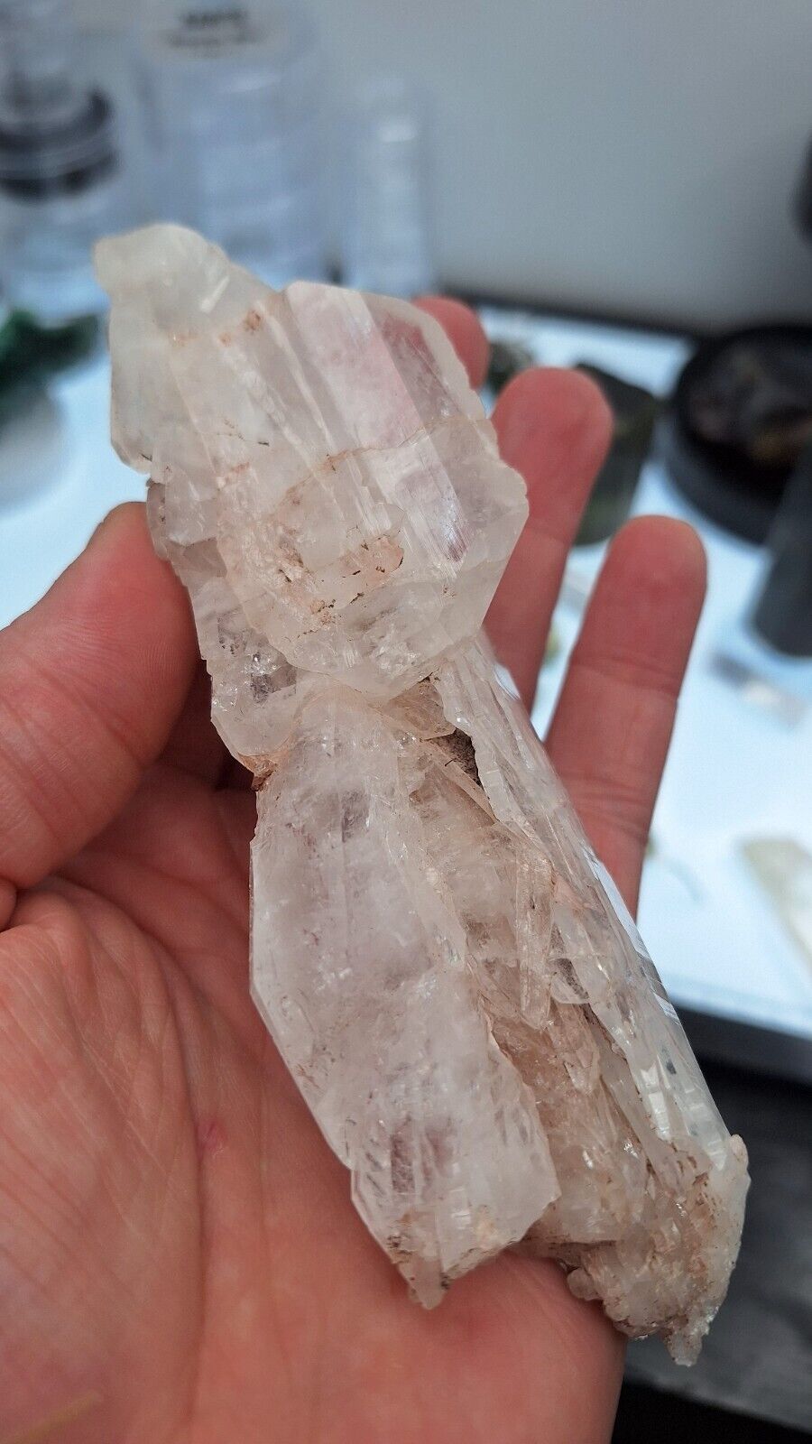  RARE Pink Faden Quartz Crystal 🪷, With Rainbows 🌈🌈 ( Colombia )🇨🇴 LG.💎😋 