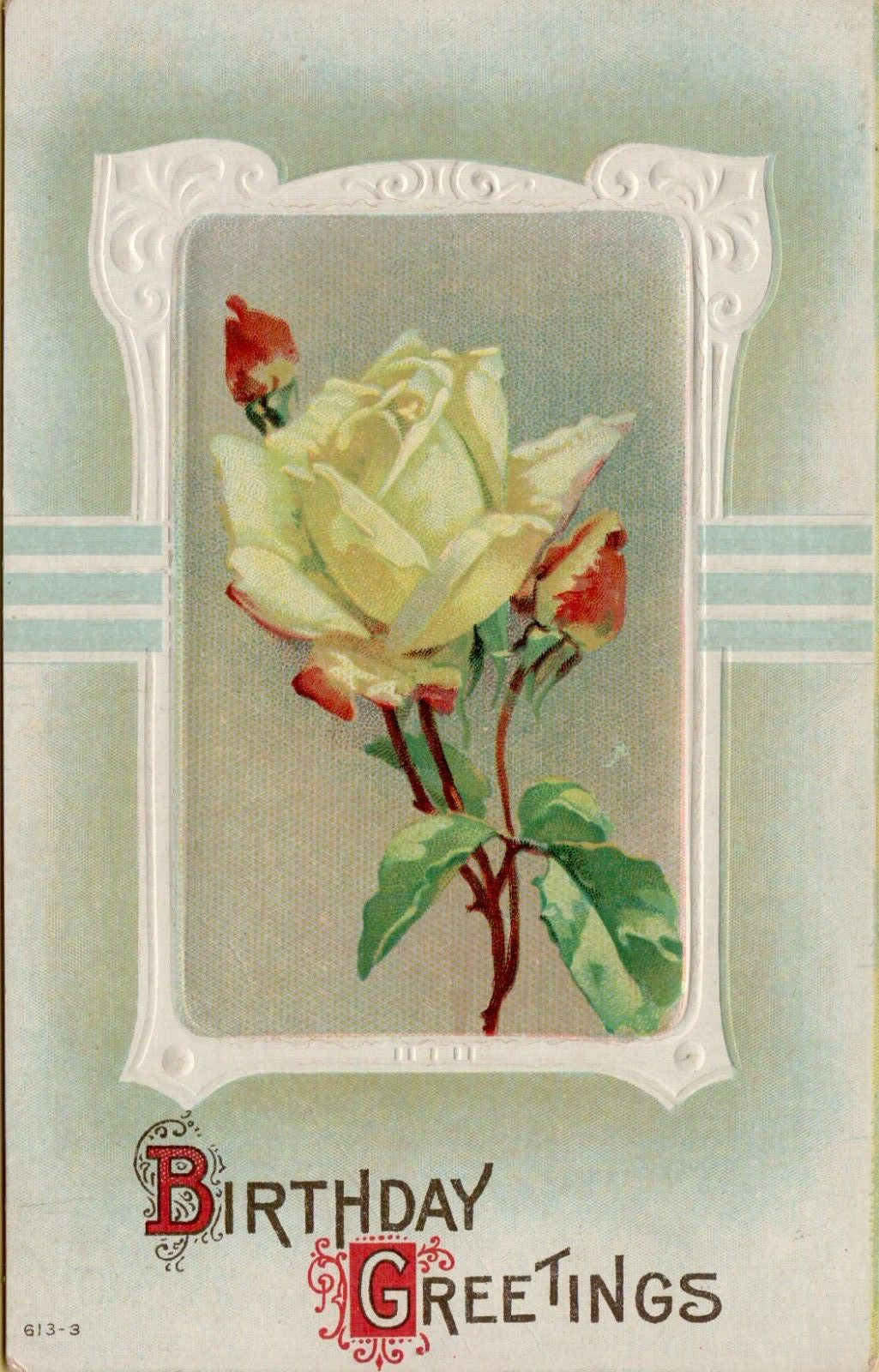 Birthday Greetings Postcard White Roses with Buds in a White Frame 1911 Posted
