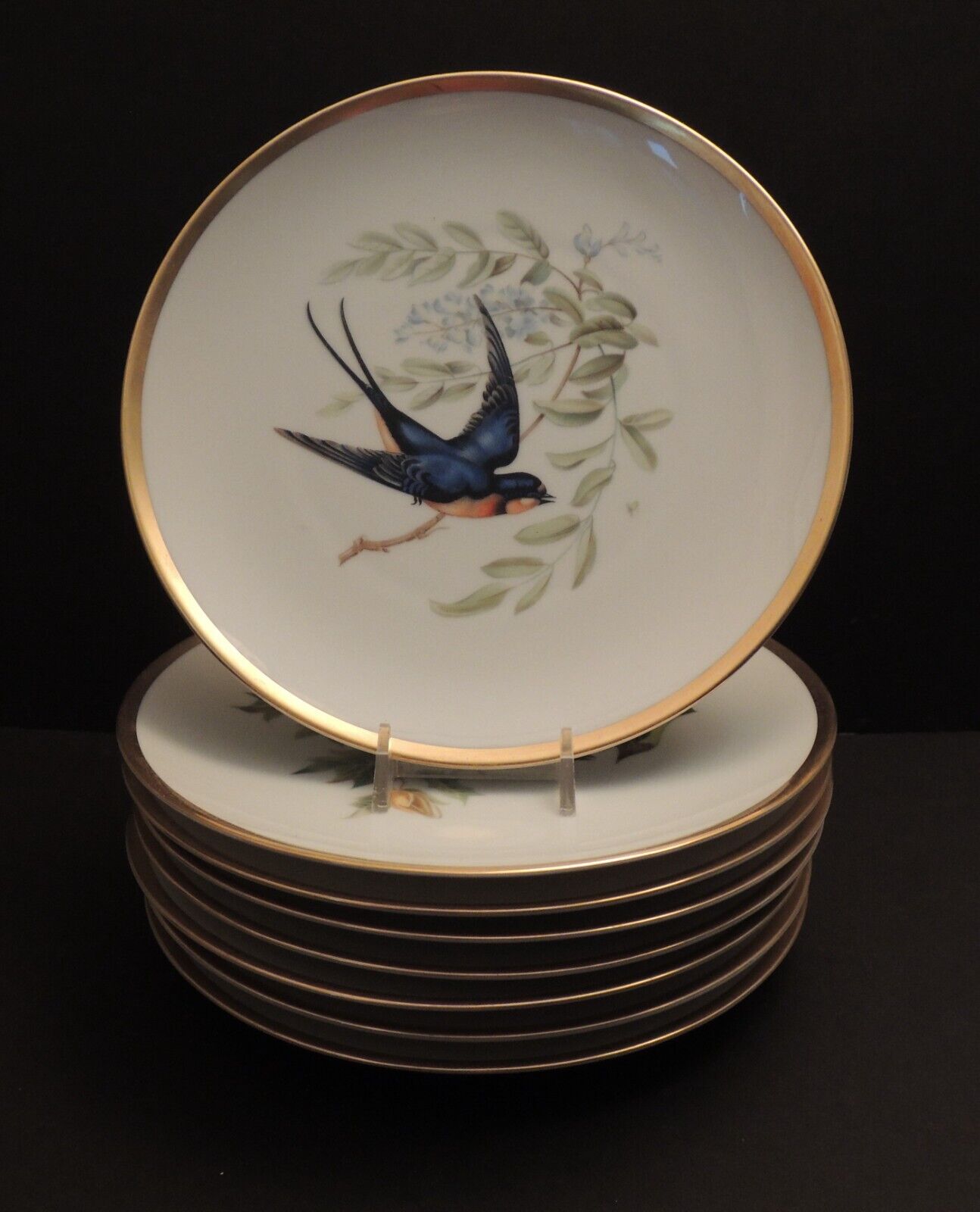 Eight Hutschenreuther German Porcelain Audubon Bird Salad Plates Gold Trim