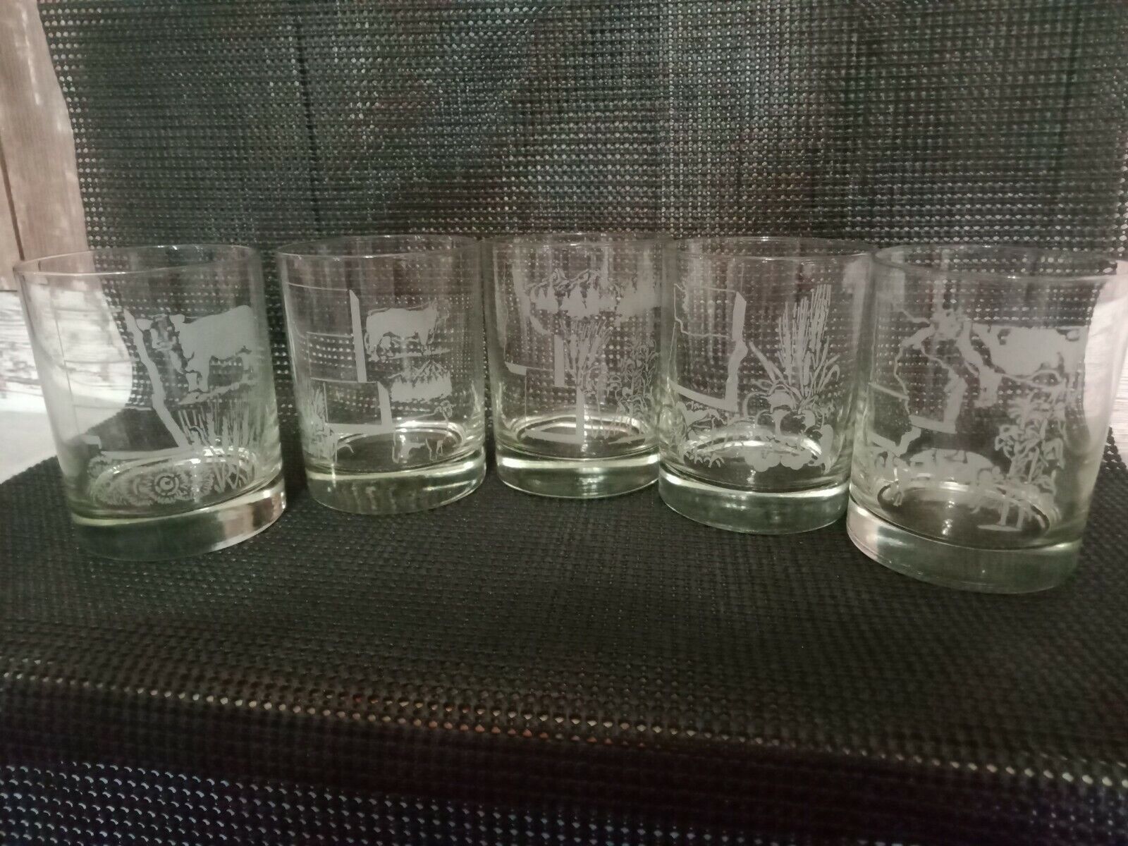 Vintage Whiskey Glasses Bourbon Glass Tumbler Etched US Map States